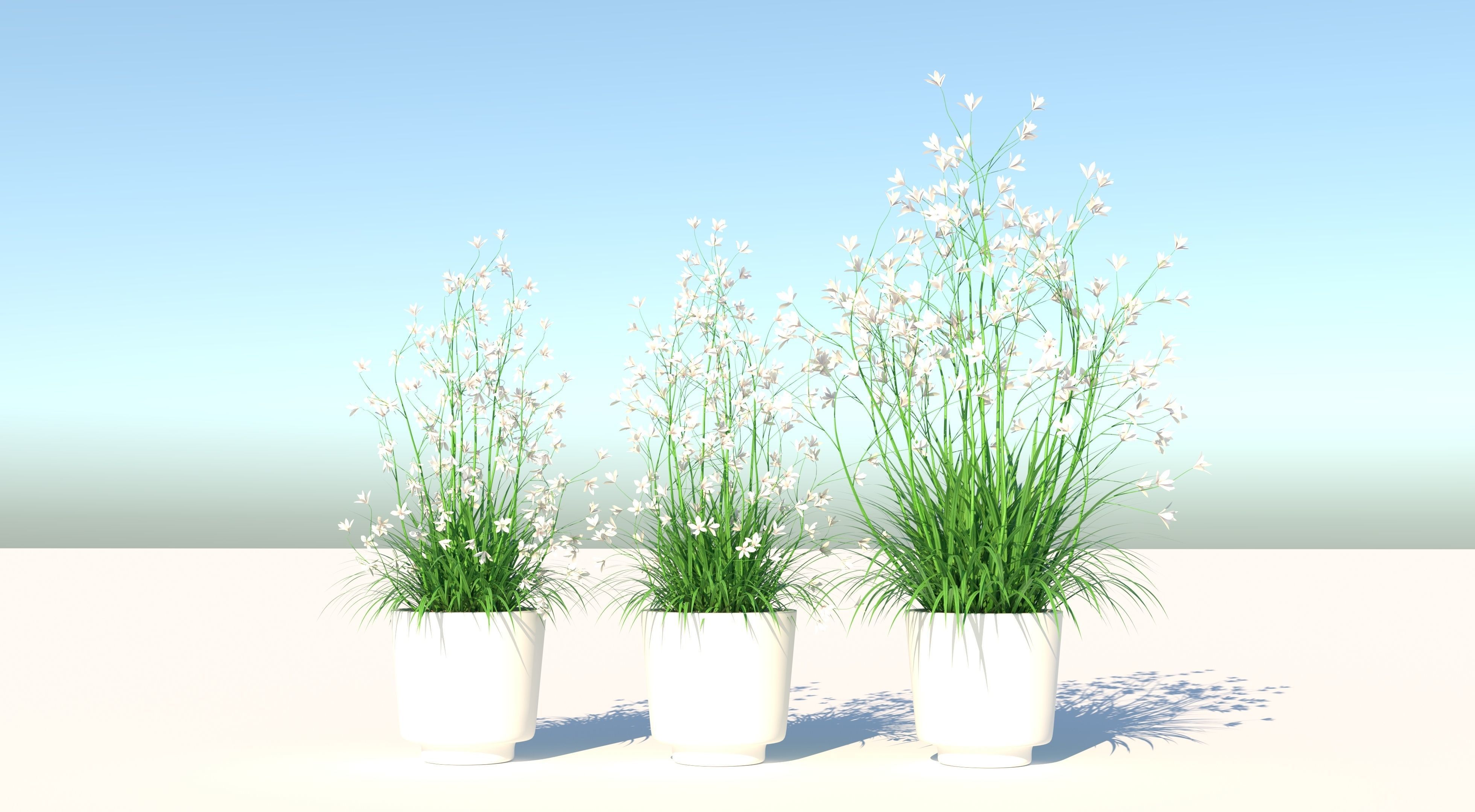 Flower Collection three vases Low-poly 3D model_1