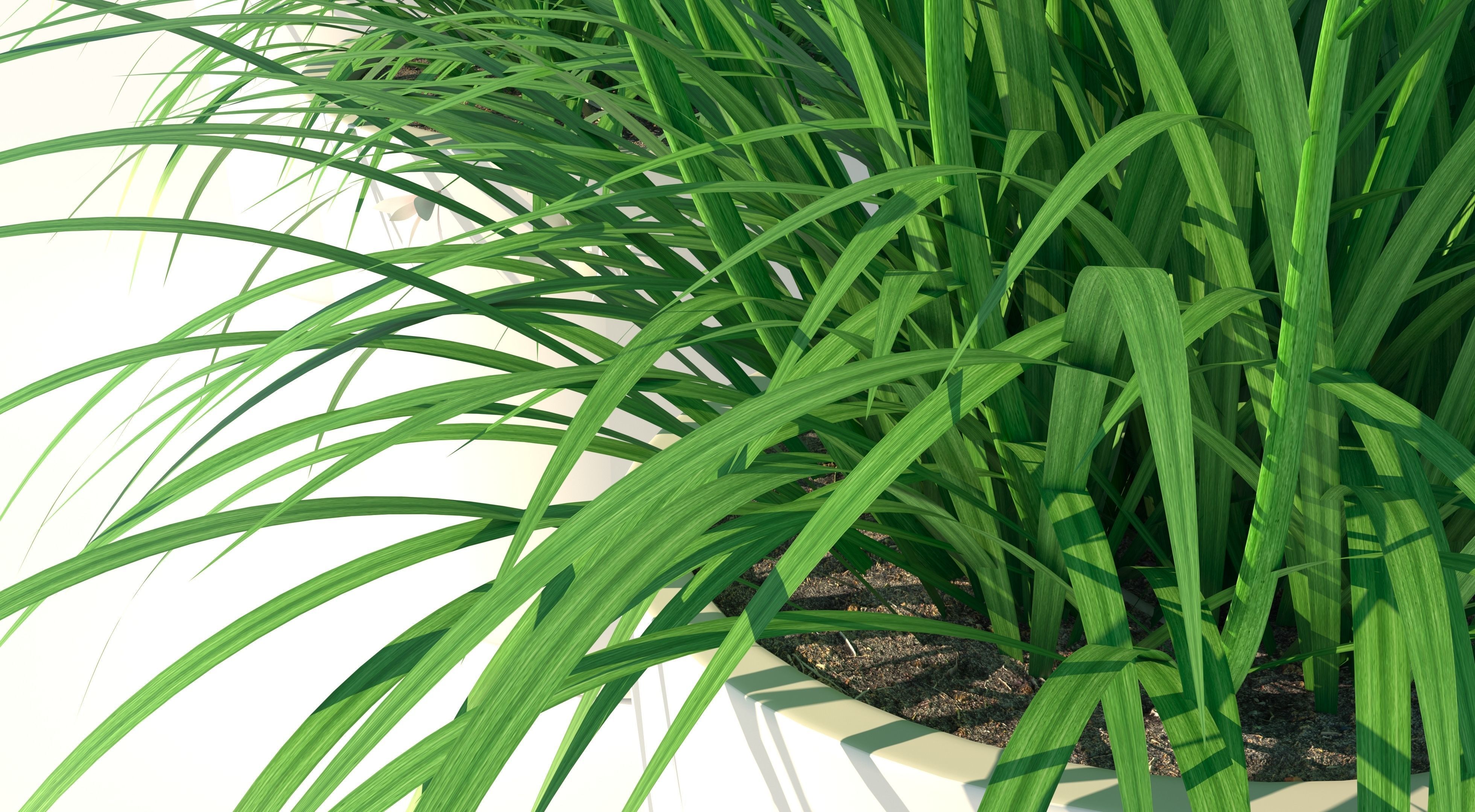 Flower Collection three vases Low-poly 3D model_7