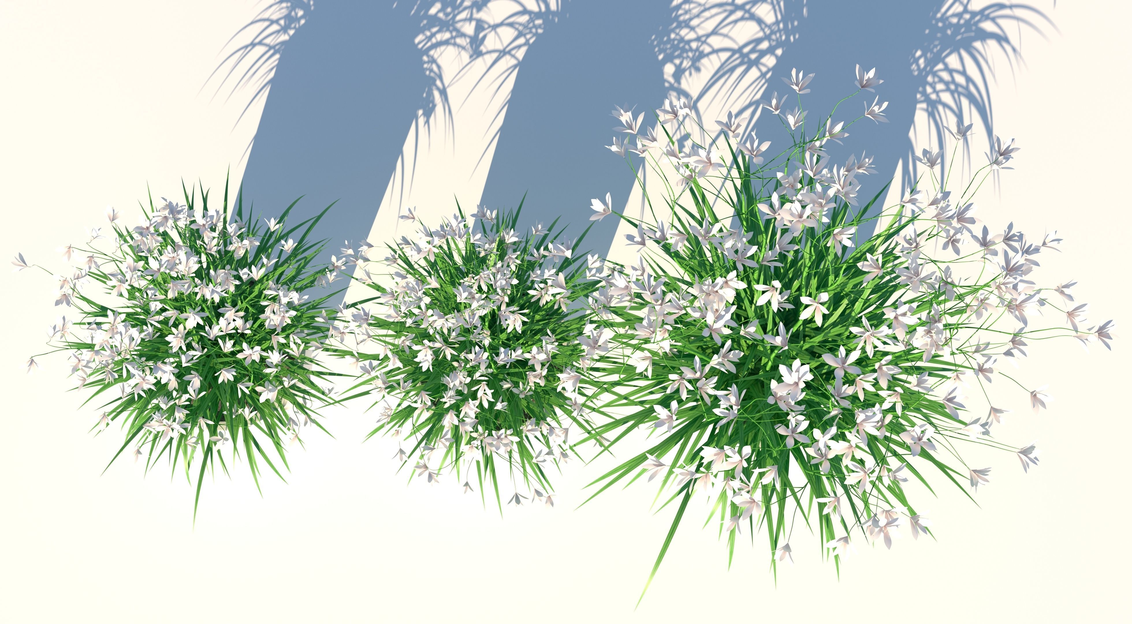 Flower Collection three vases Low-poly 3D model_4