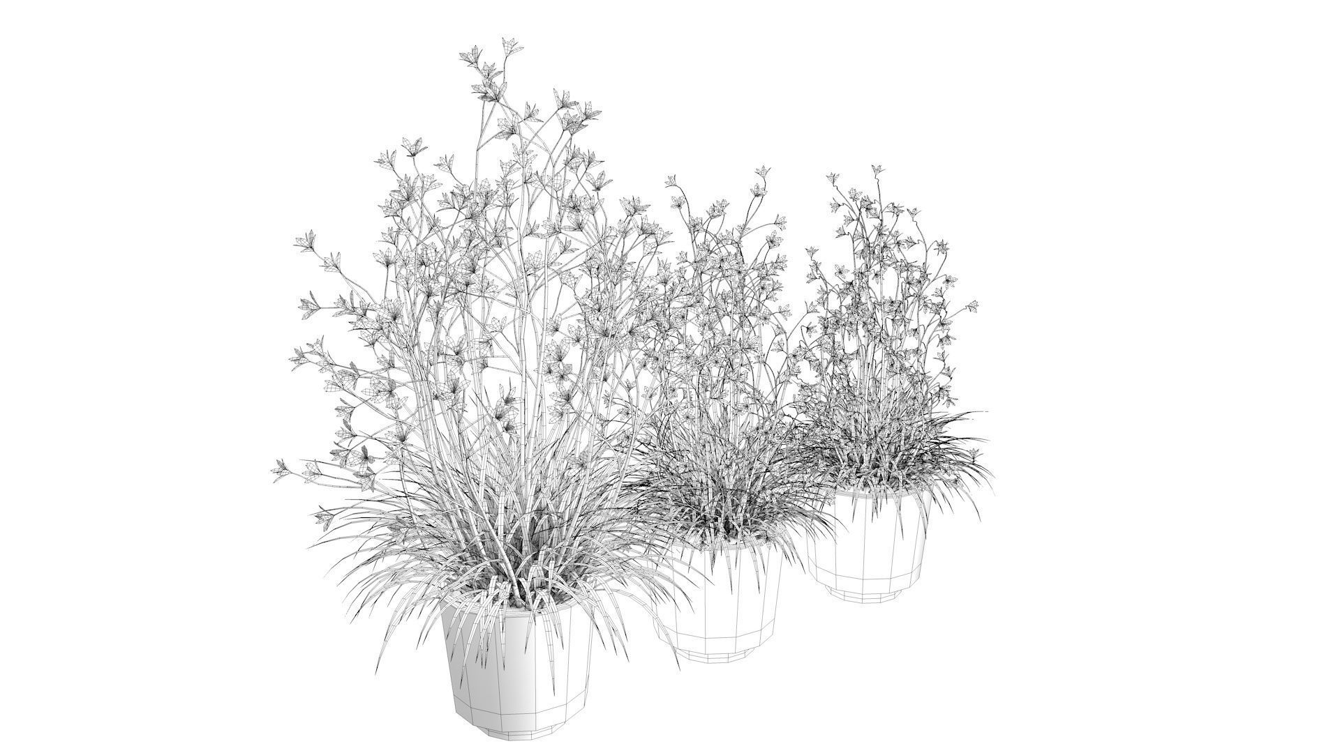 Flower Collection three vases Low-poly 3D model_9