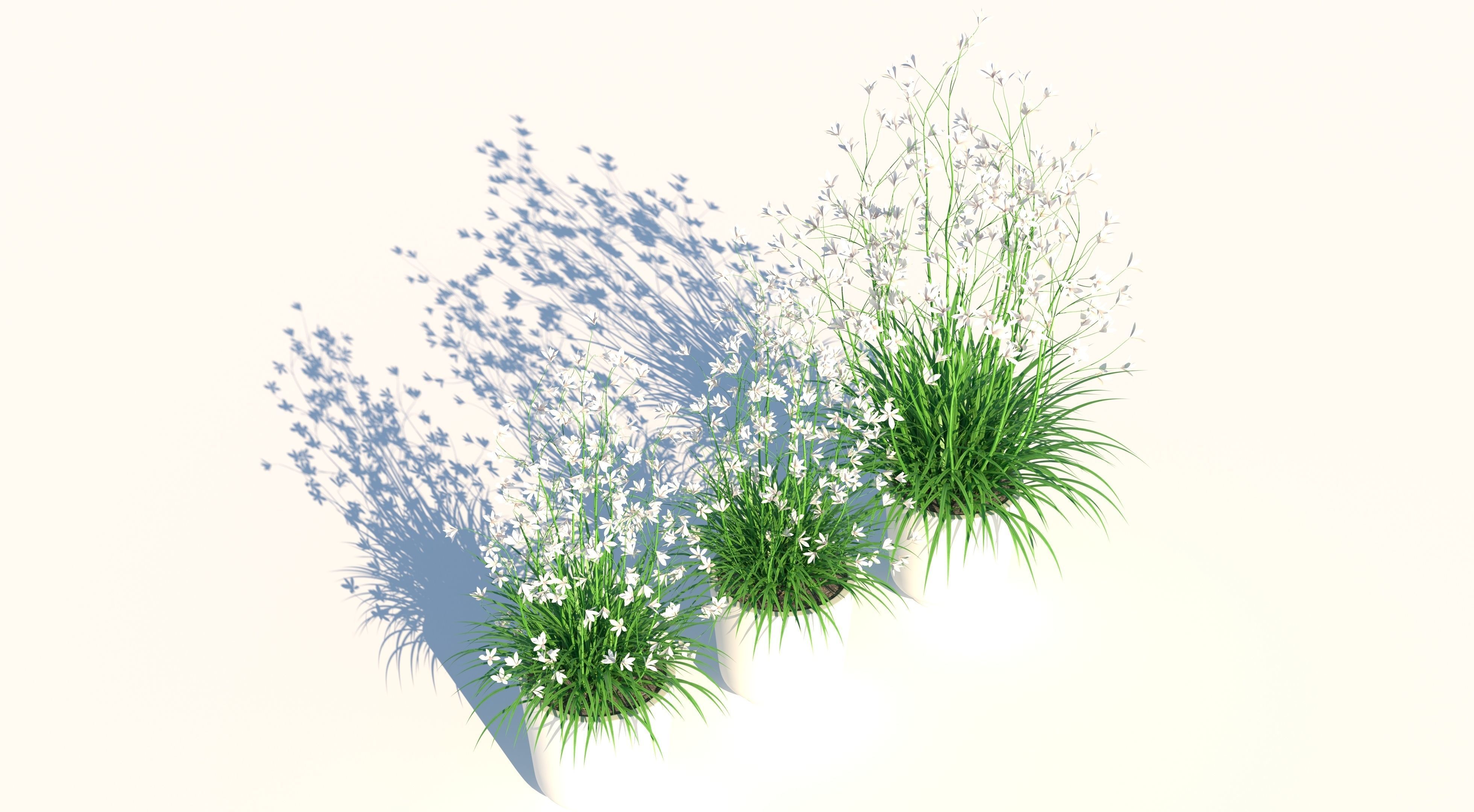 Flower Collection three vases Low-poly 3D model_3