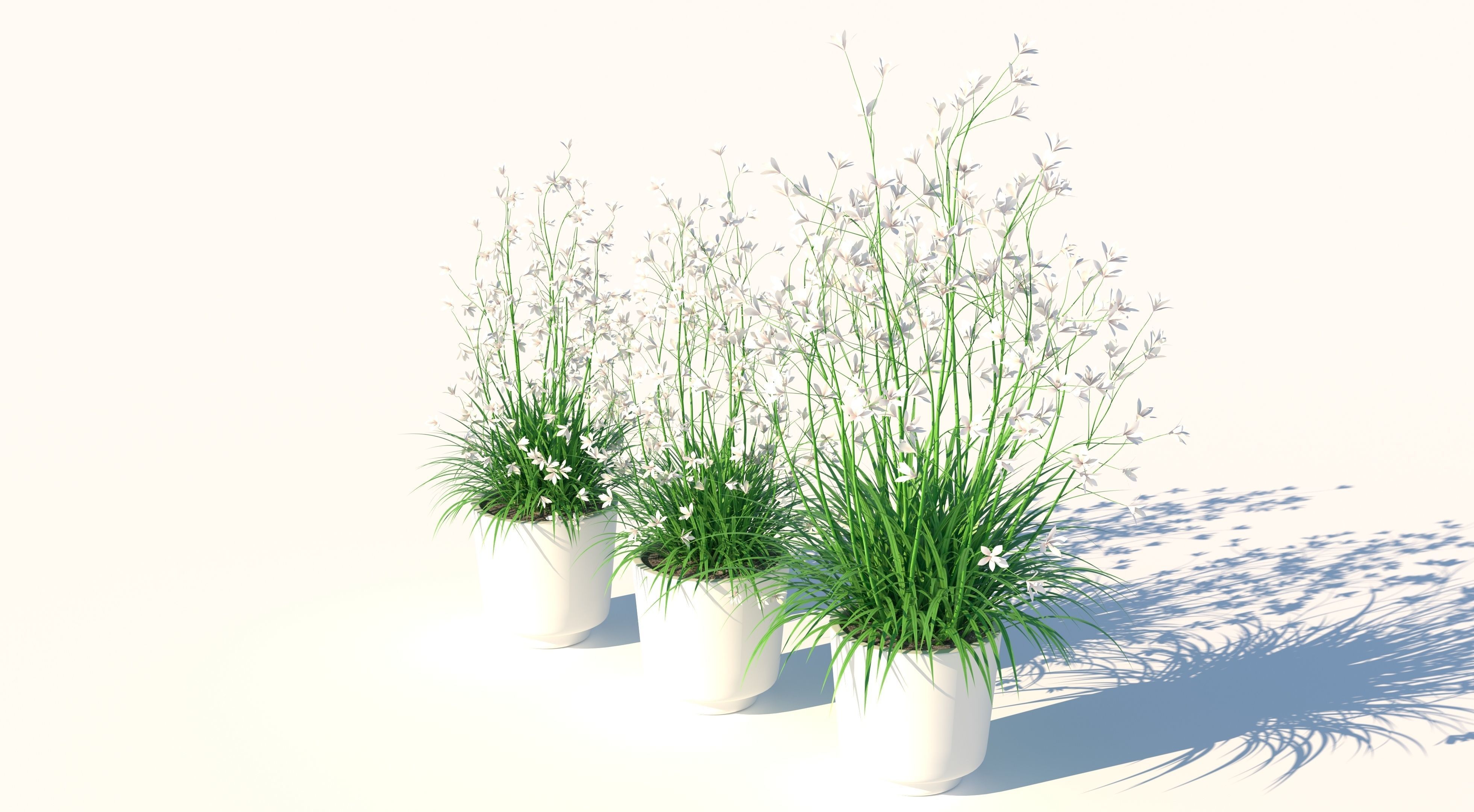 Flower Collection three vases Low-poly 3D model_2