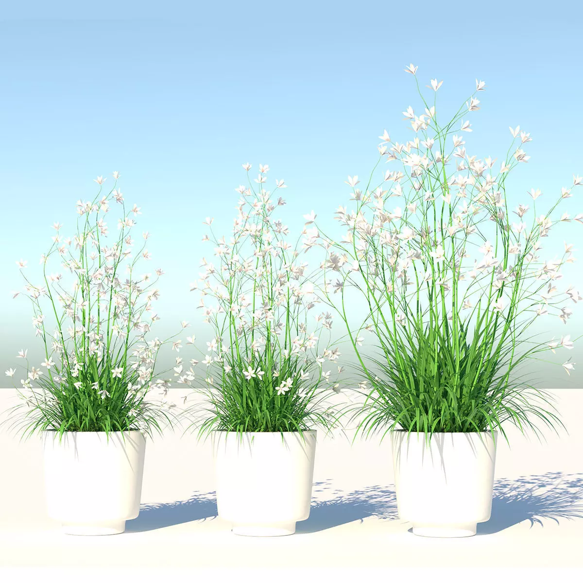 Flower Collection three vases Low-poly 3D model_0