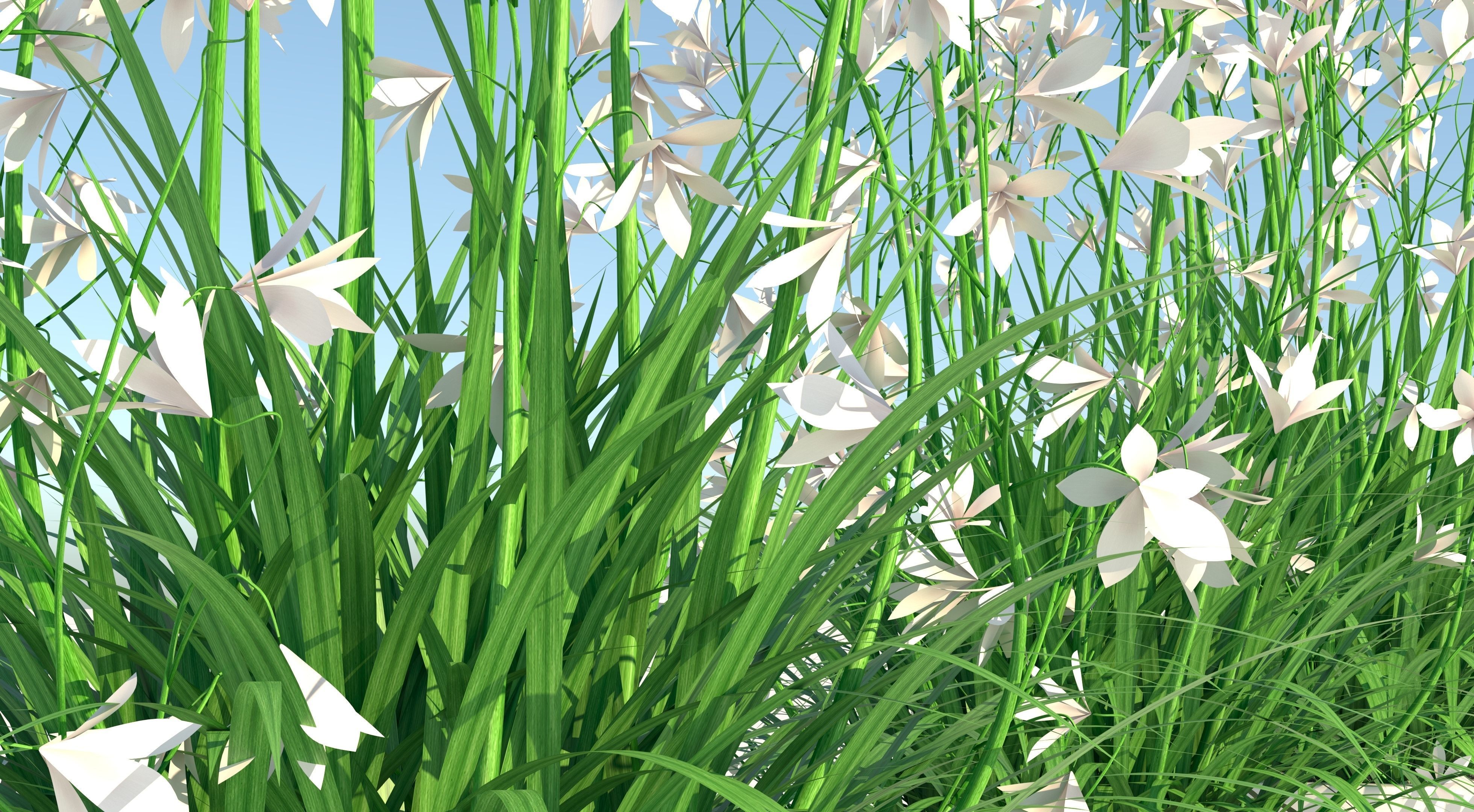 Flower Collection three vases Low-poly 3D model_8