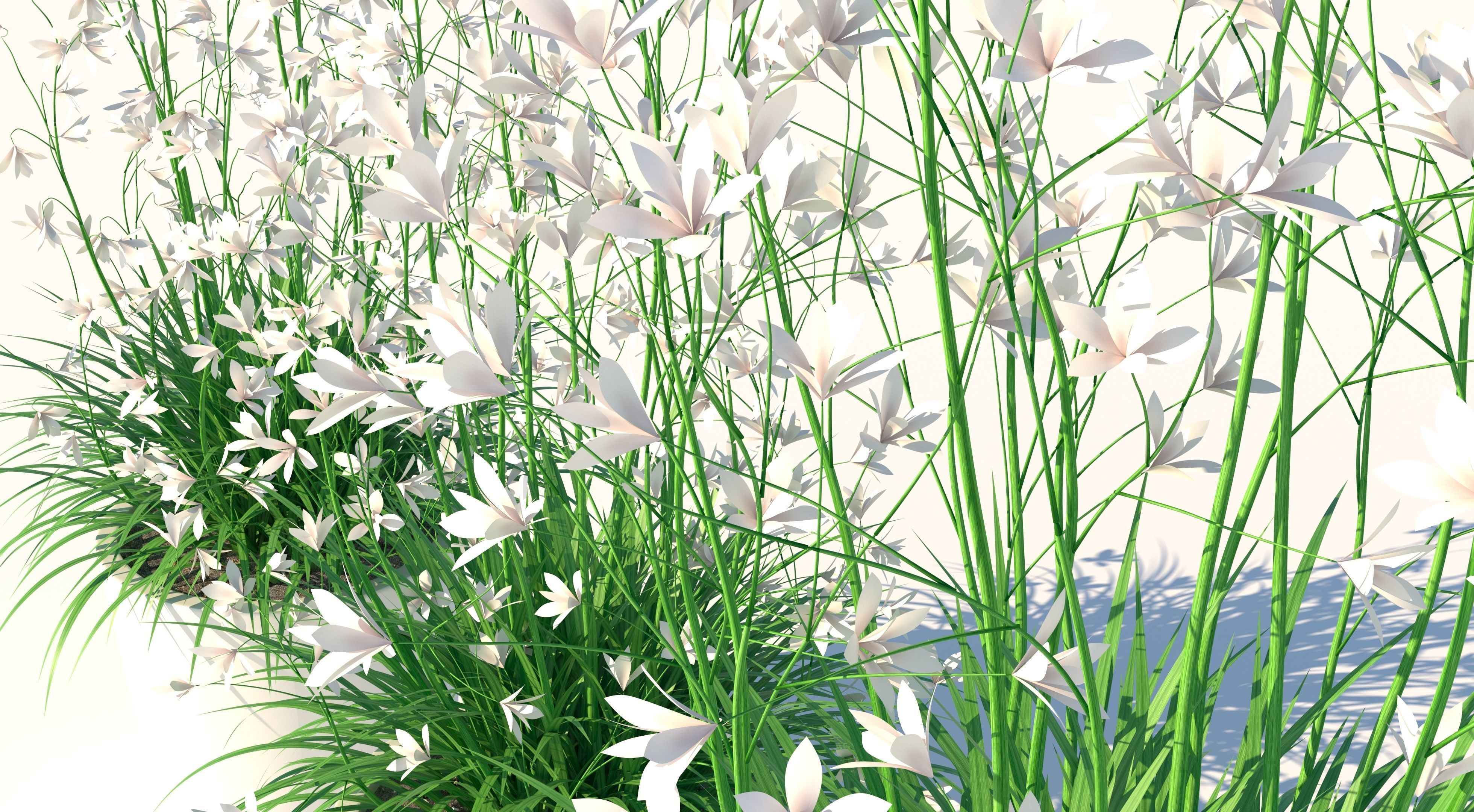 Flower Collection three vases Low-poly 3D model_6