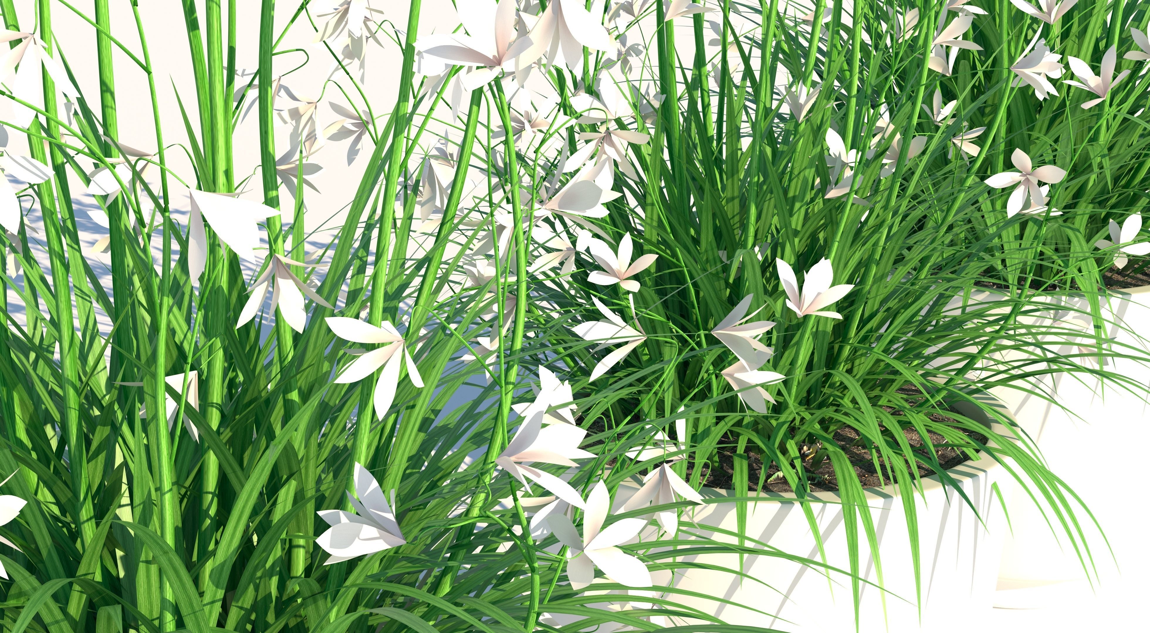 Flower Collection three vases Low-poly 3D model_5