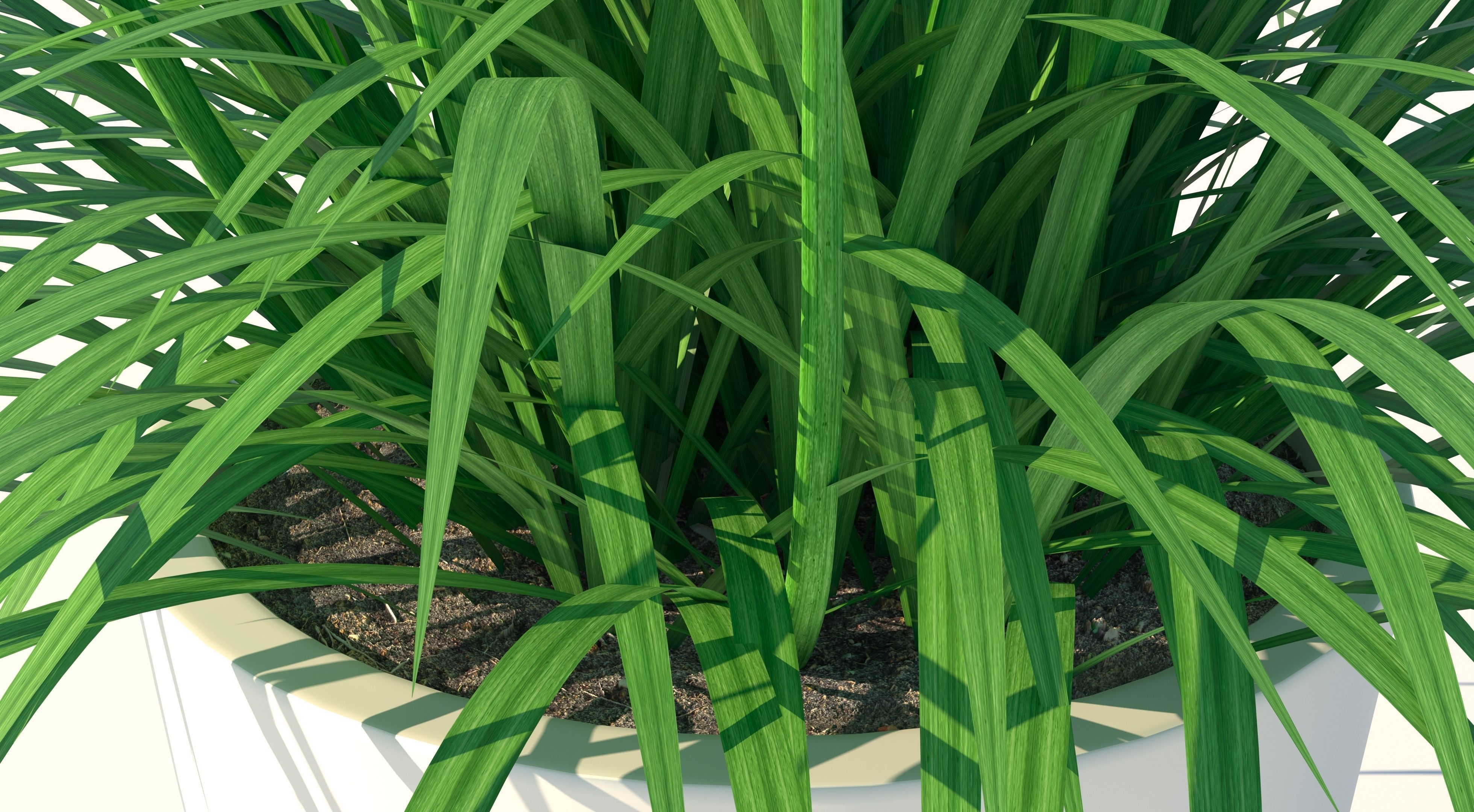 Flower plant in vase Low-poly 3D model_7