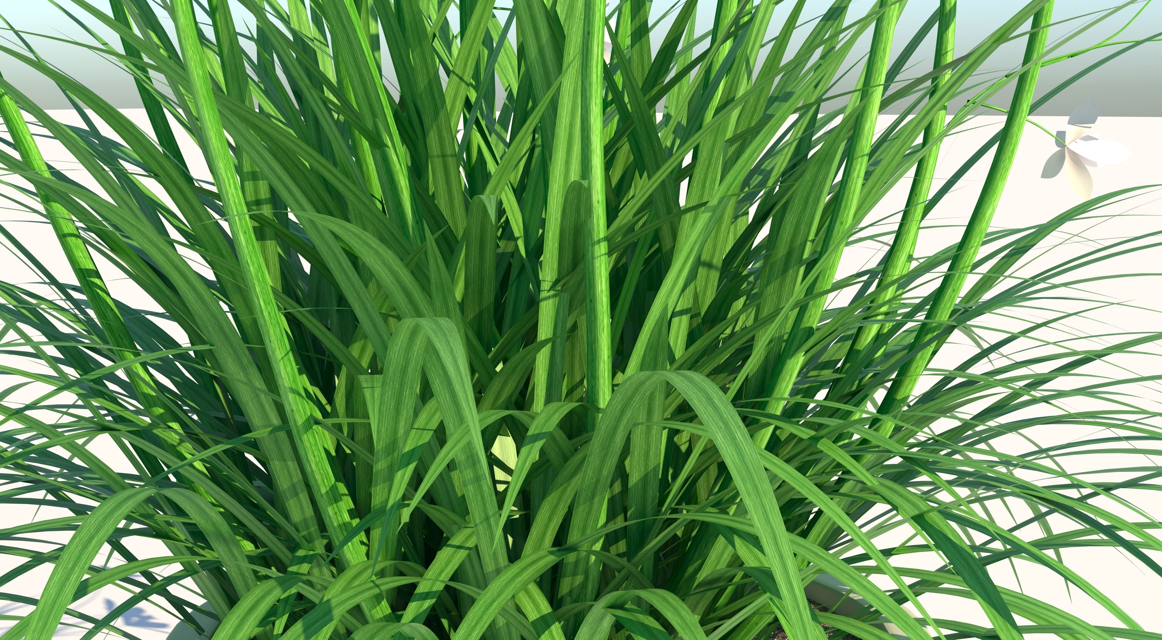 Flower plant in vase Low-poly 3D model_5