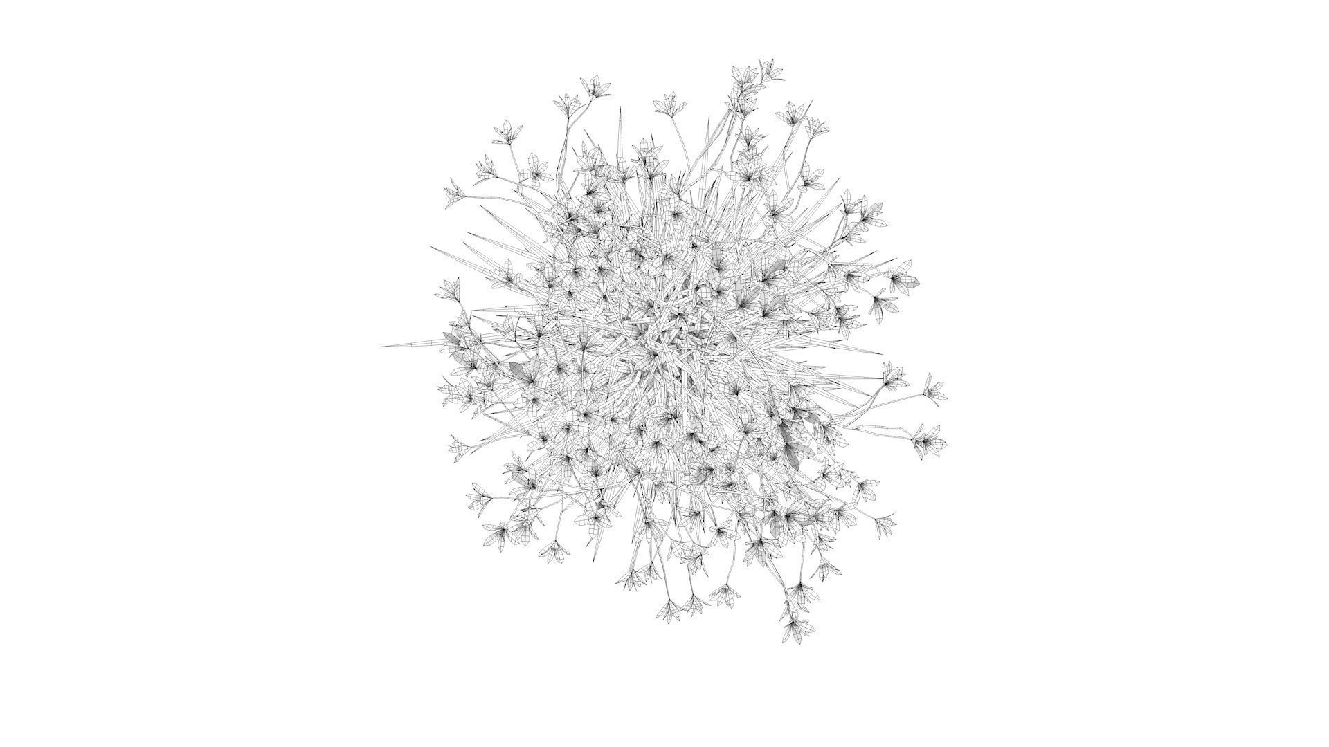 Flower plant in vase Low-poly 3D model_9