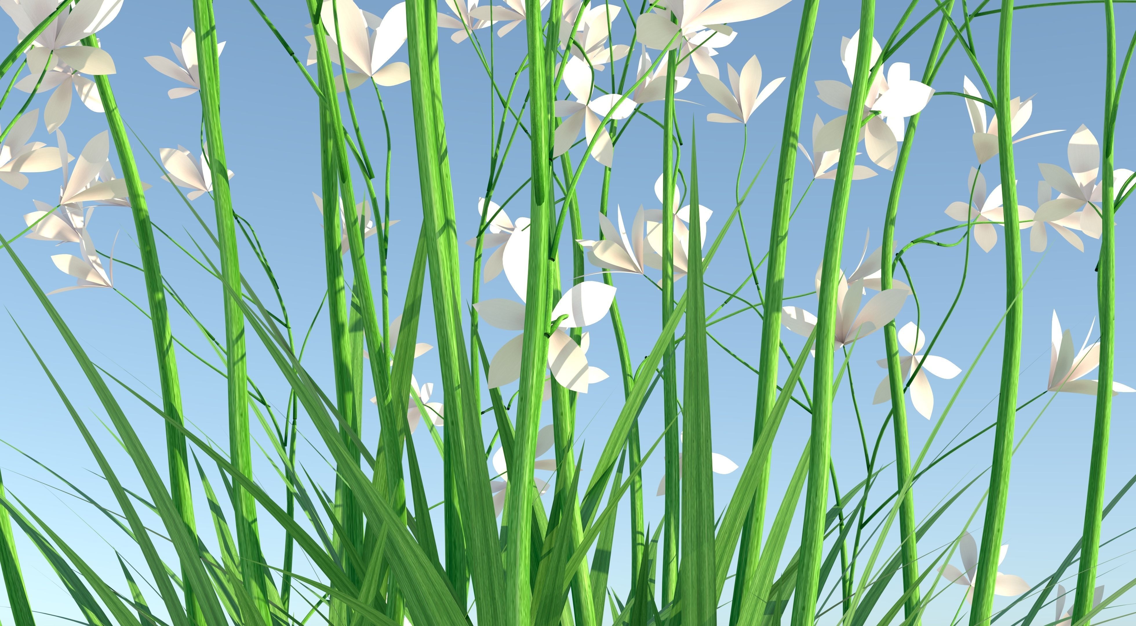 Flower plant in vase Low-poly 3D model_8