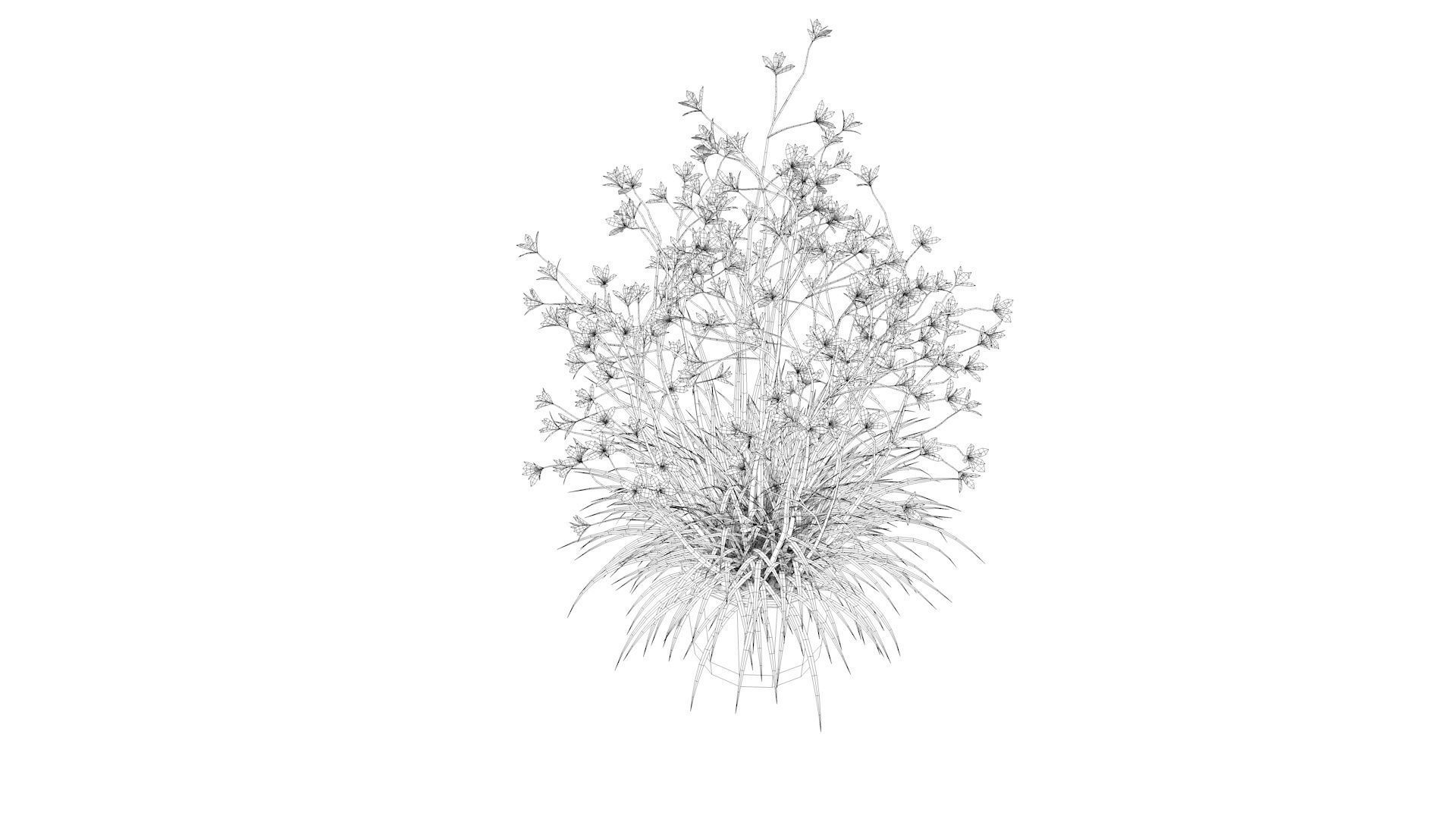 Flower plant in vase Low-poly 3D model_10