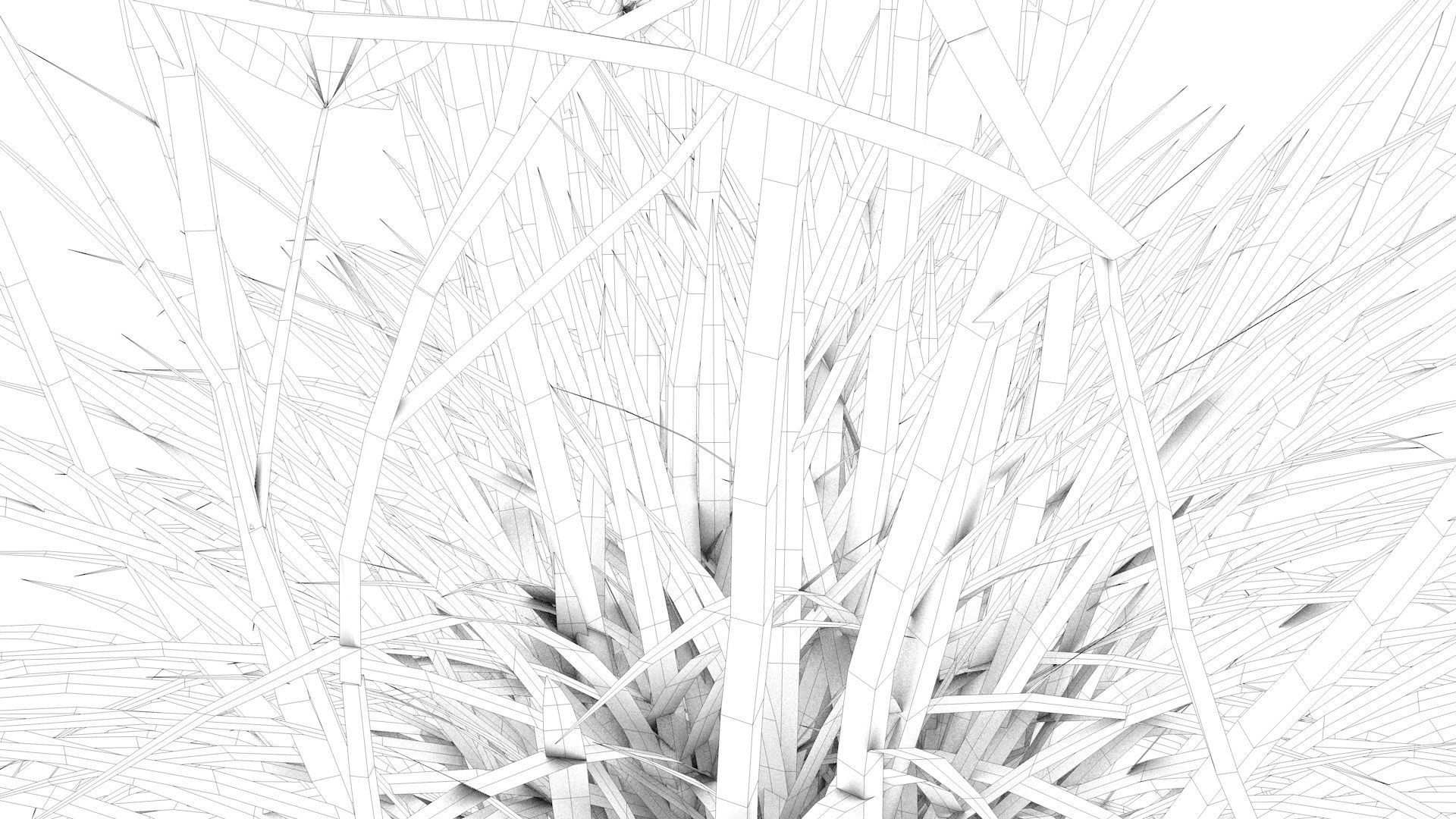 Flower plant in vase Low-poly 3D model_13