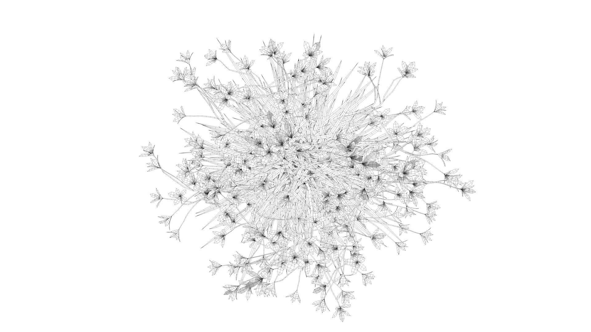 Flower plant in vase Low-poly 3D model_12