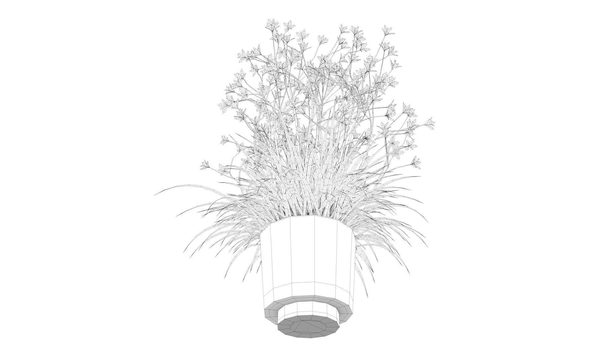 Flower plant in vase Low-poly 3D model_11