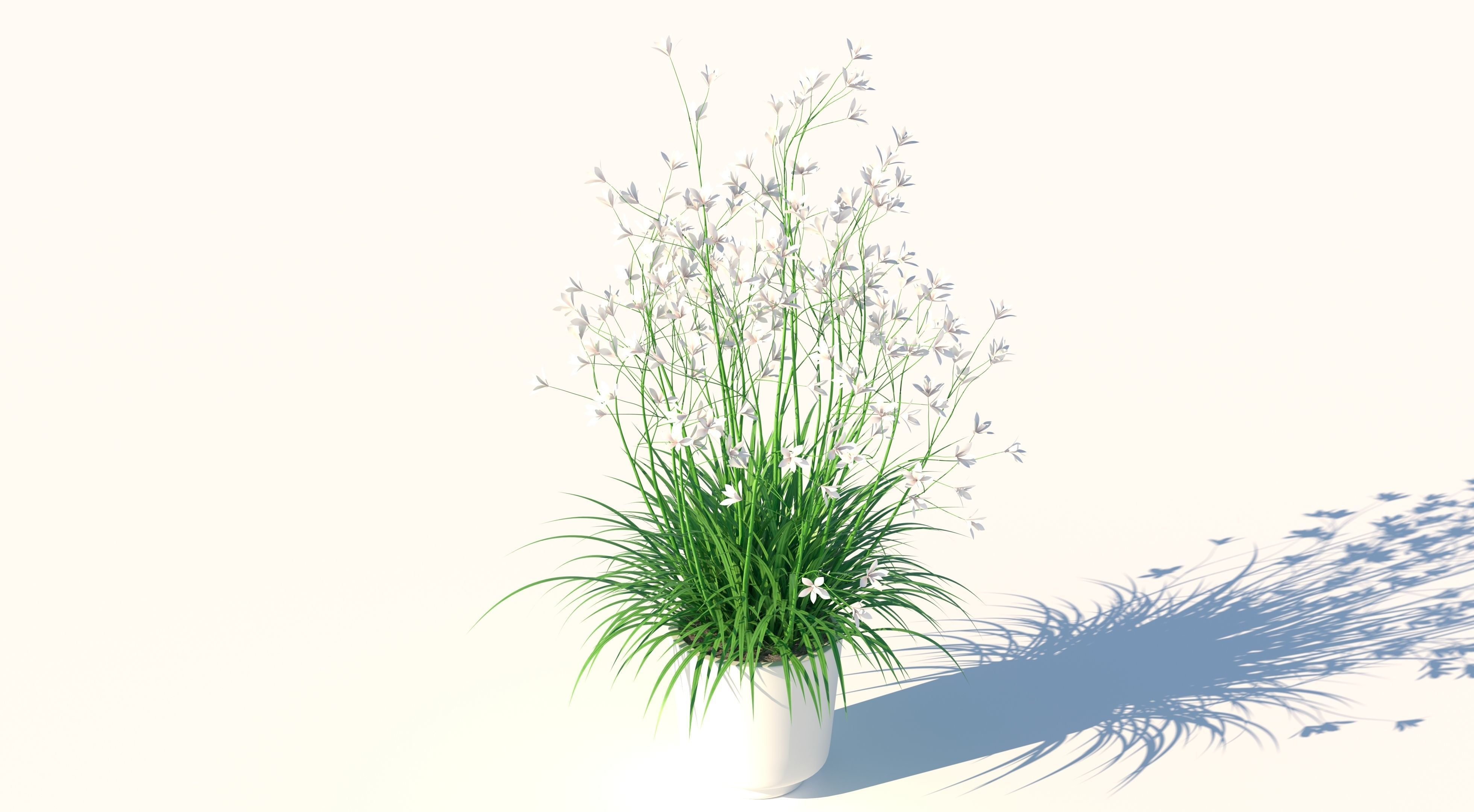 Flower plant in vase Low-poly 3D model_2