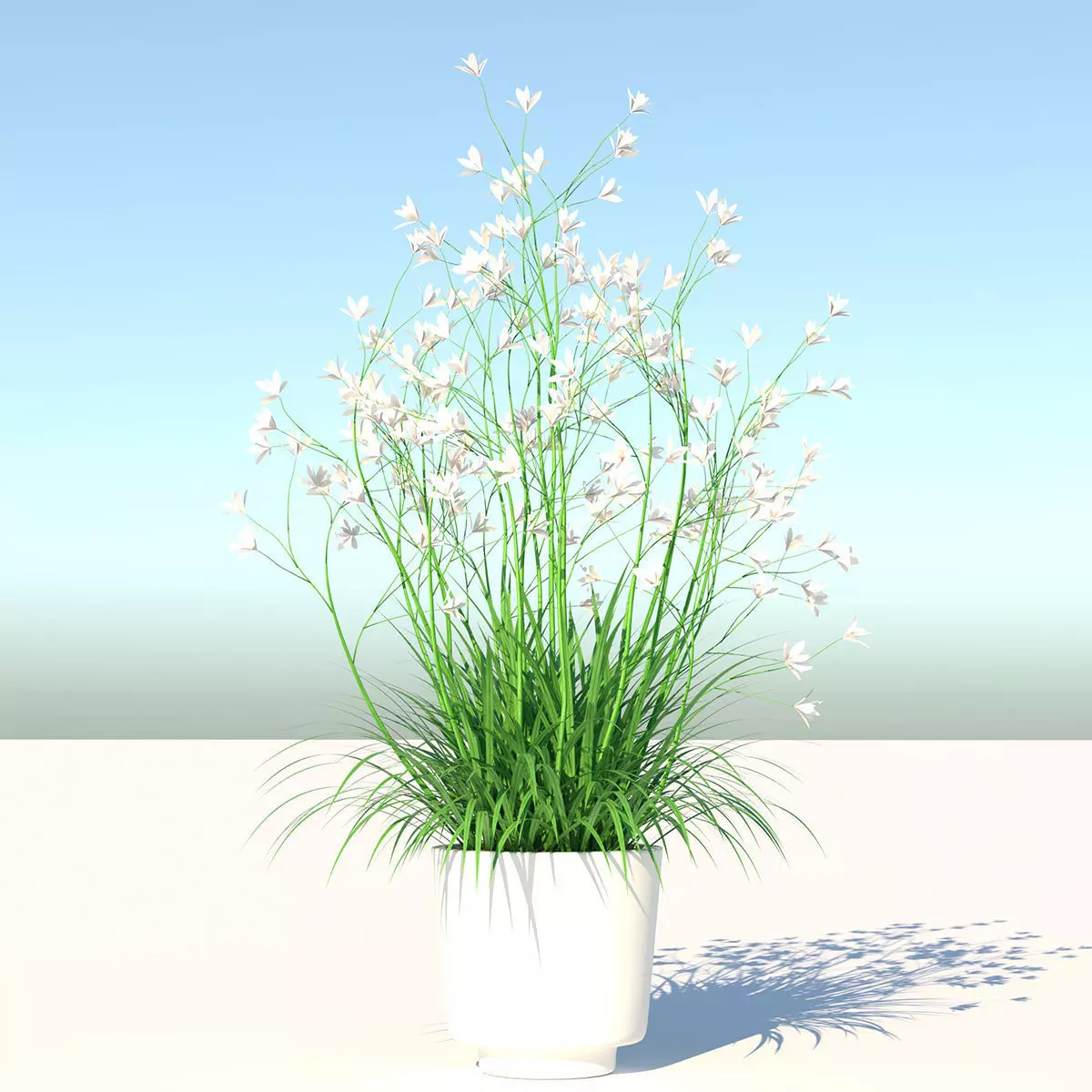 Flower plant in vase Low-poly 3D model_0
