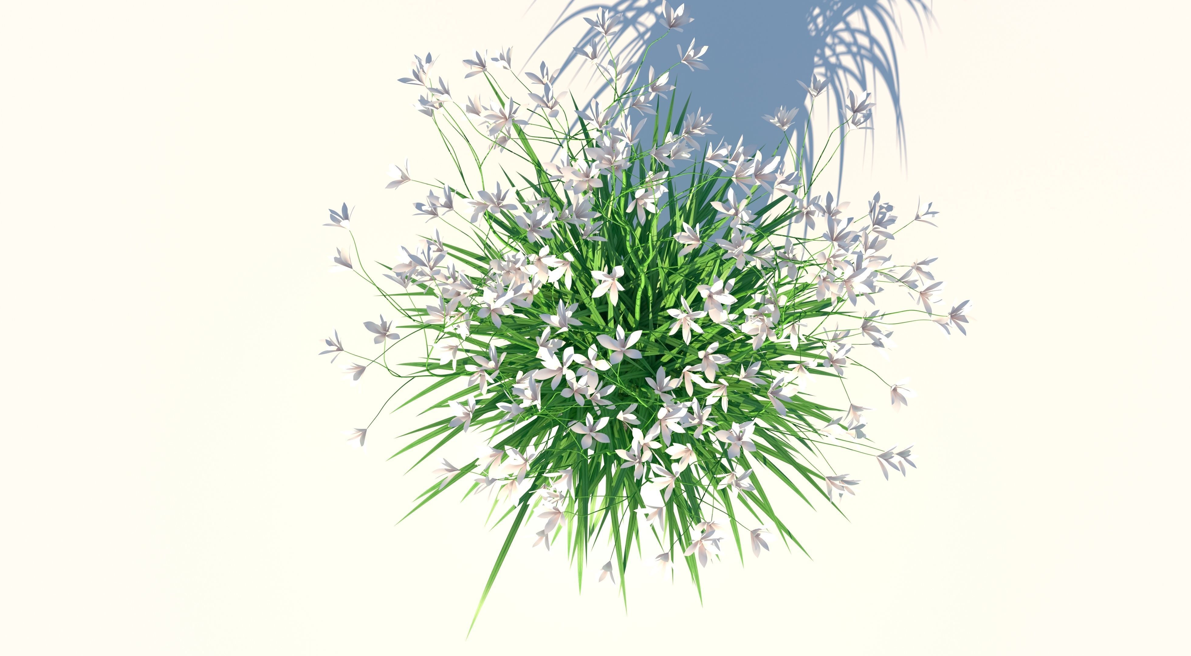 Flower plant in vase Low-poly 3D model_4