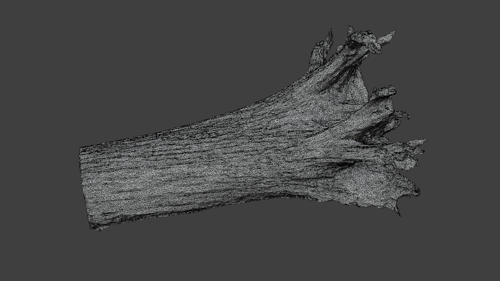 Old Rotten Fallen Tree 3D Scanned Low-poly 3D model_13