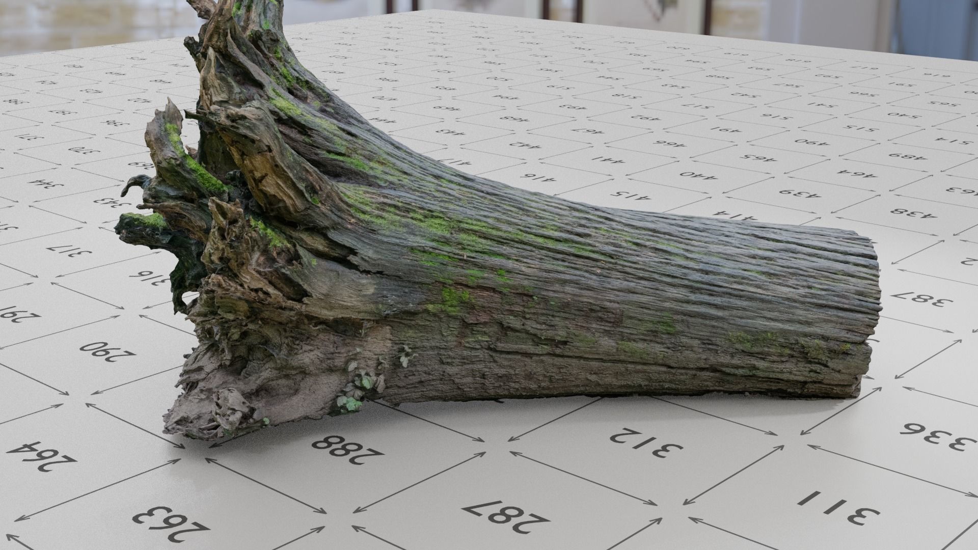 Old Rotten Fallen Tree 3D Scanned Low-poly 3D model_6