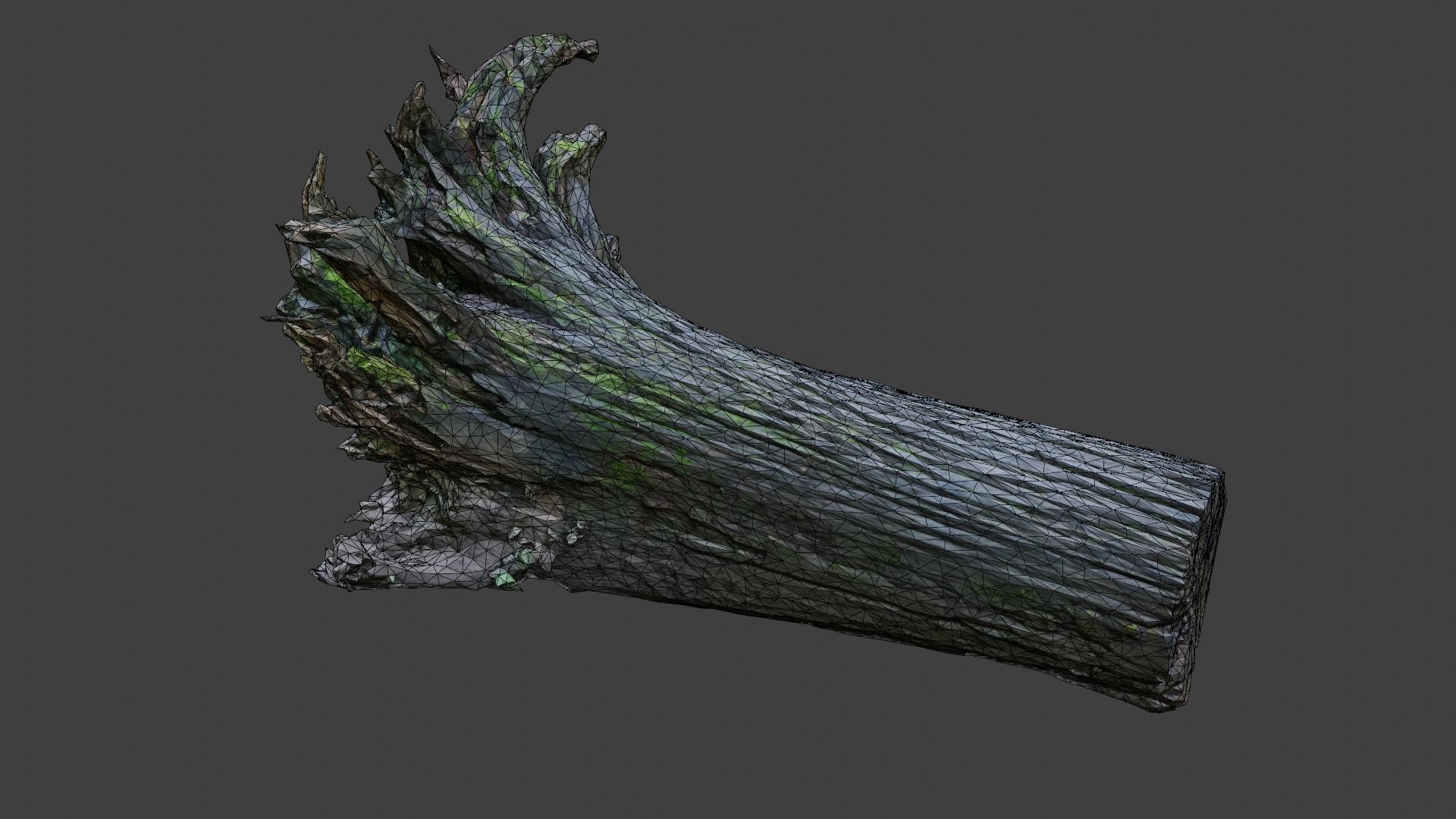 Old Rotten Fallen Tree 3D Scanned Low-poly 3D model_15