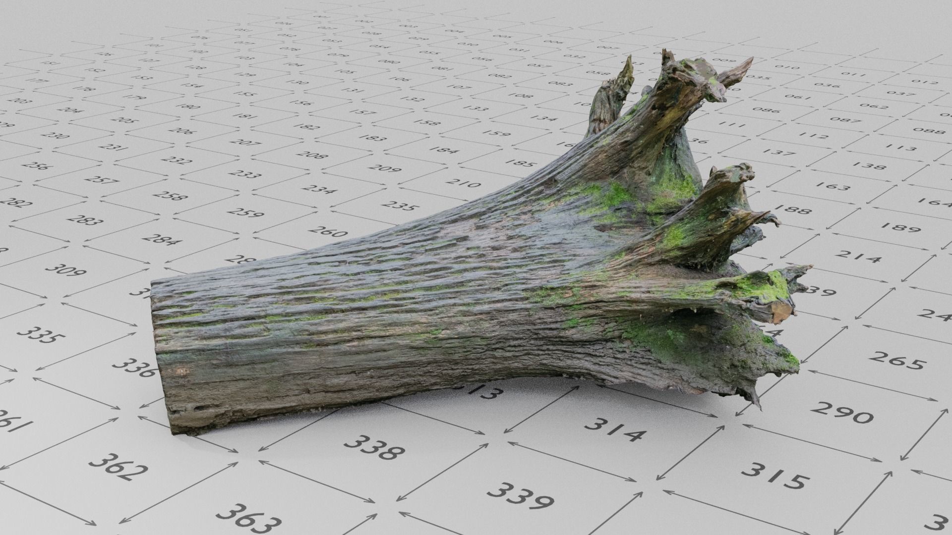 Old Rotten Fallen Tree 3D Scanned Low-poly 3D model_9