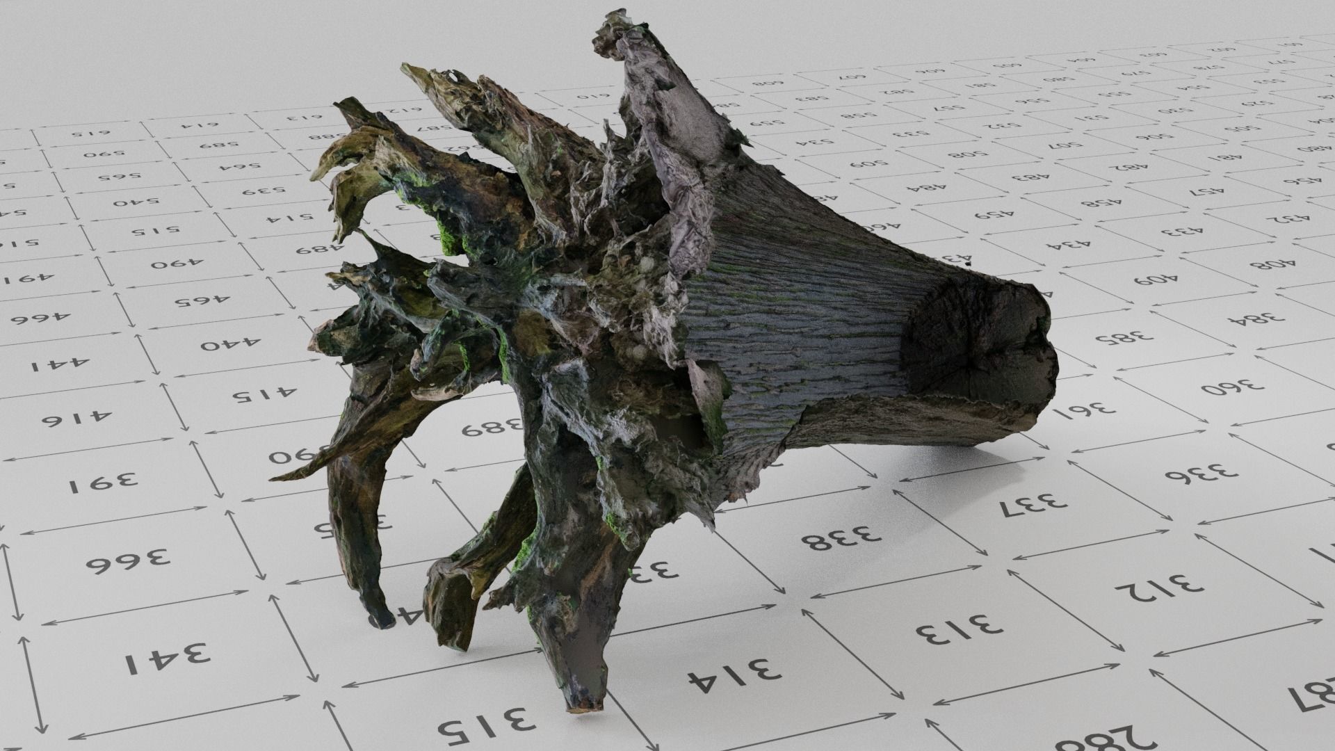 Old Rotten Fallen Tree 3D Scanned Low-poly 3D model_10