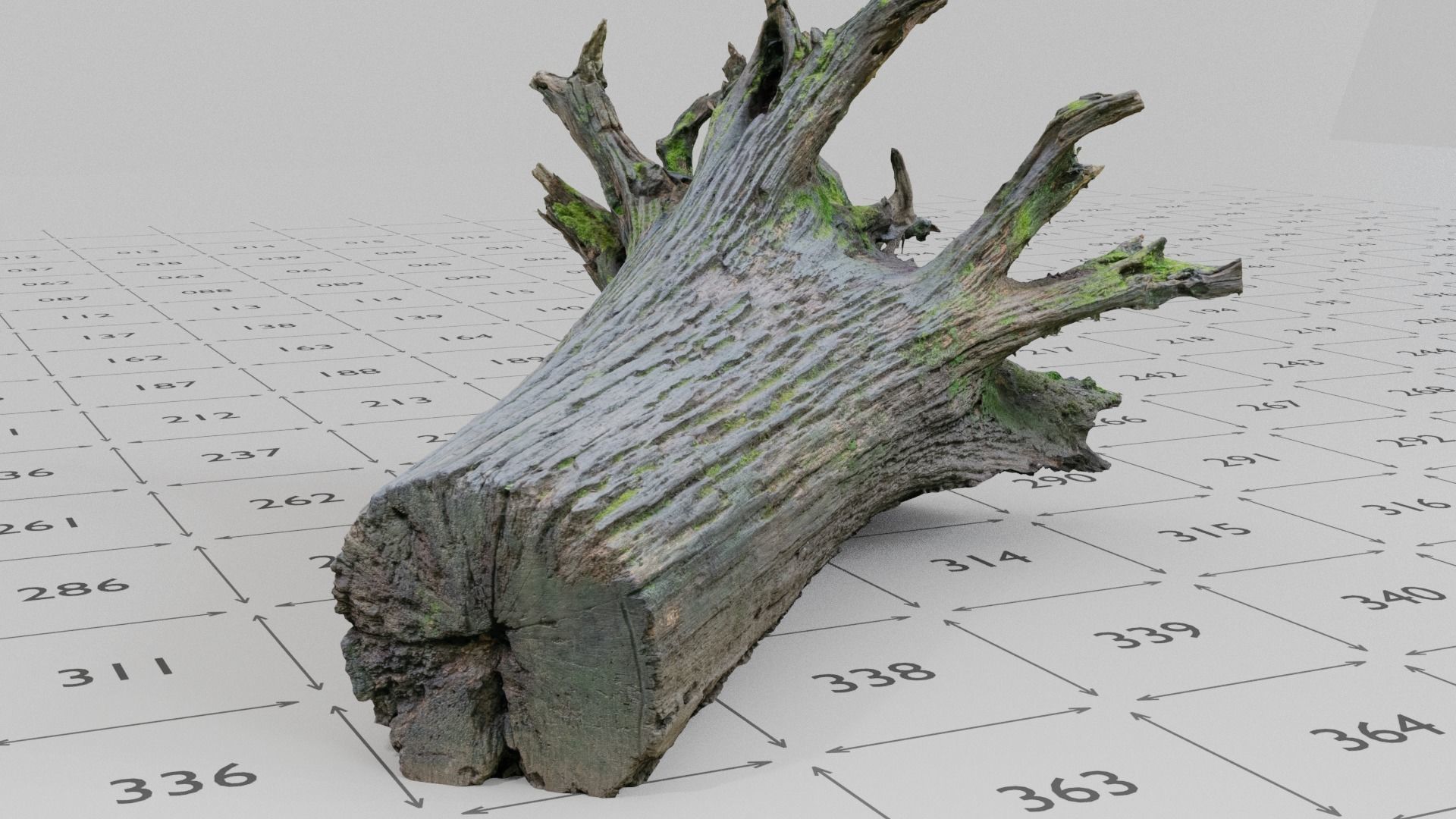 Old Rotten Fallen Tree 3D Scanned Low-poly 3D model_8