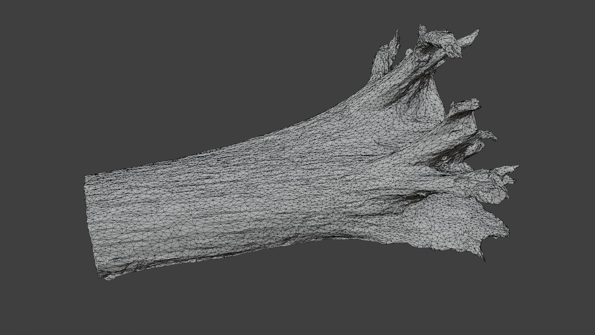 Old Rotten Fallen Tree 3D Scanned Low-poly 3D model_18