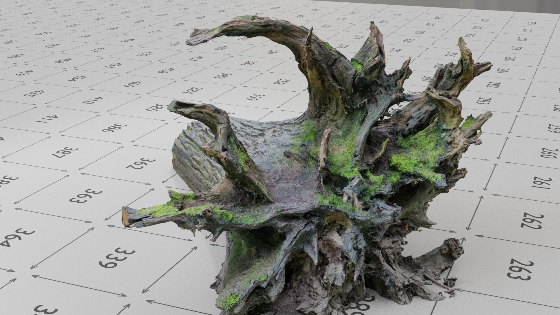 Old Rotten Fallen Tree 3D Scanned Low-poly 3D model_4