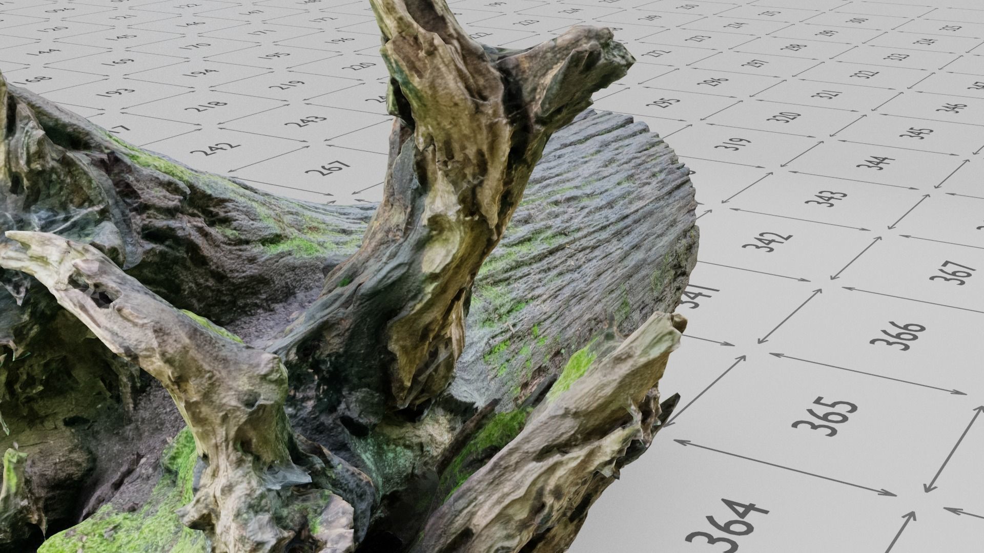 Old Rotten Fallen Tree 3D Scanned Low-poly 3D model_11