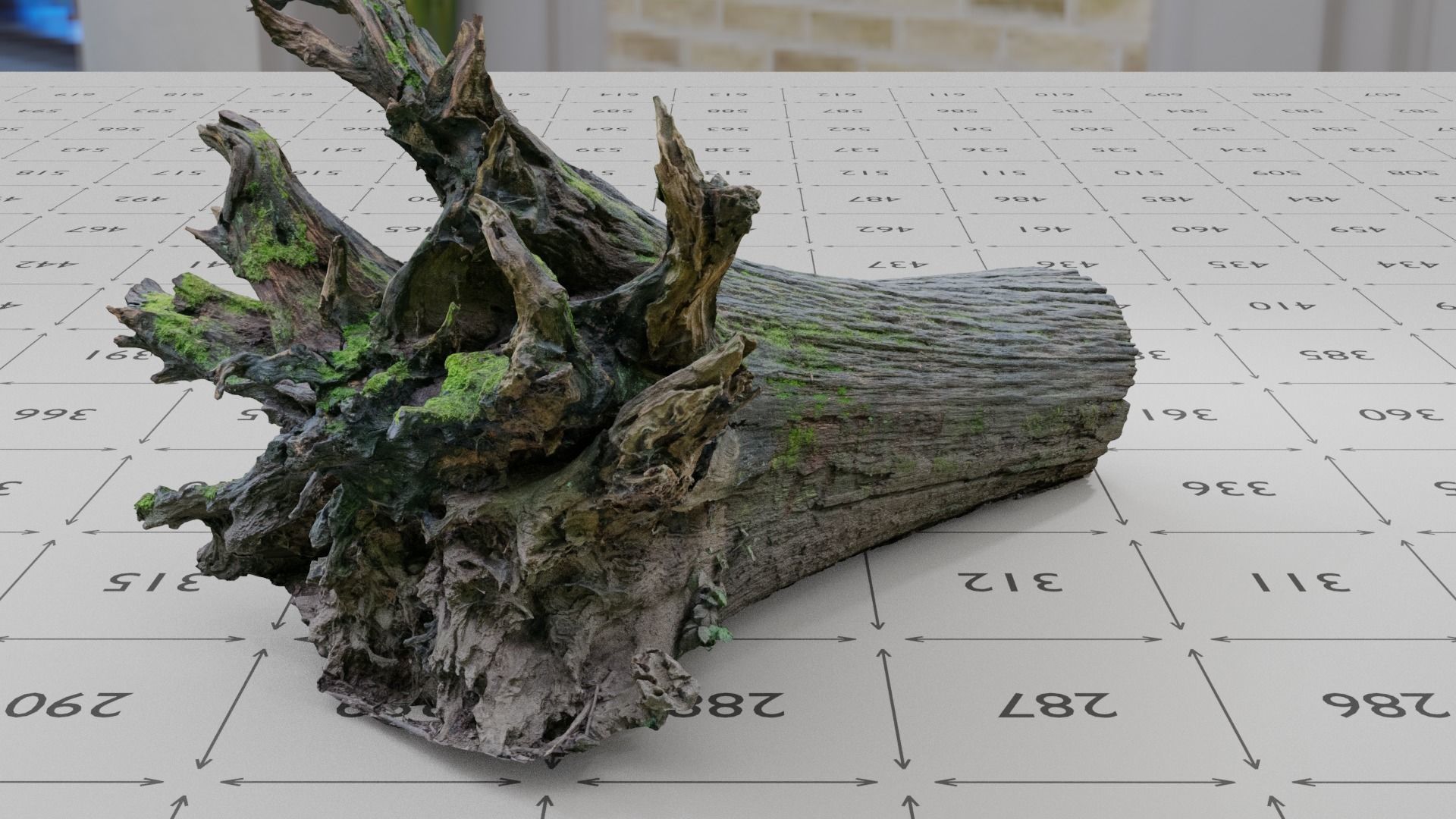 Old Rotten Fallen Tree 3D Scanned Low-poly 3D model_5