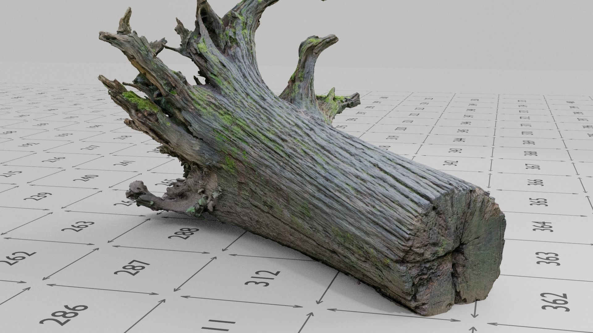 Old Rotten Fallen Tree 3D Scanned Low-poly 3D model_7