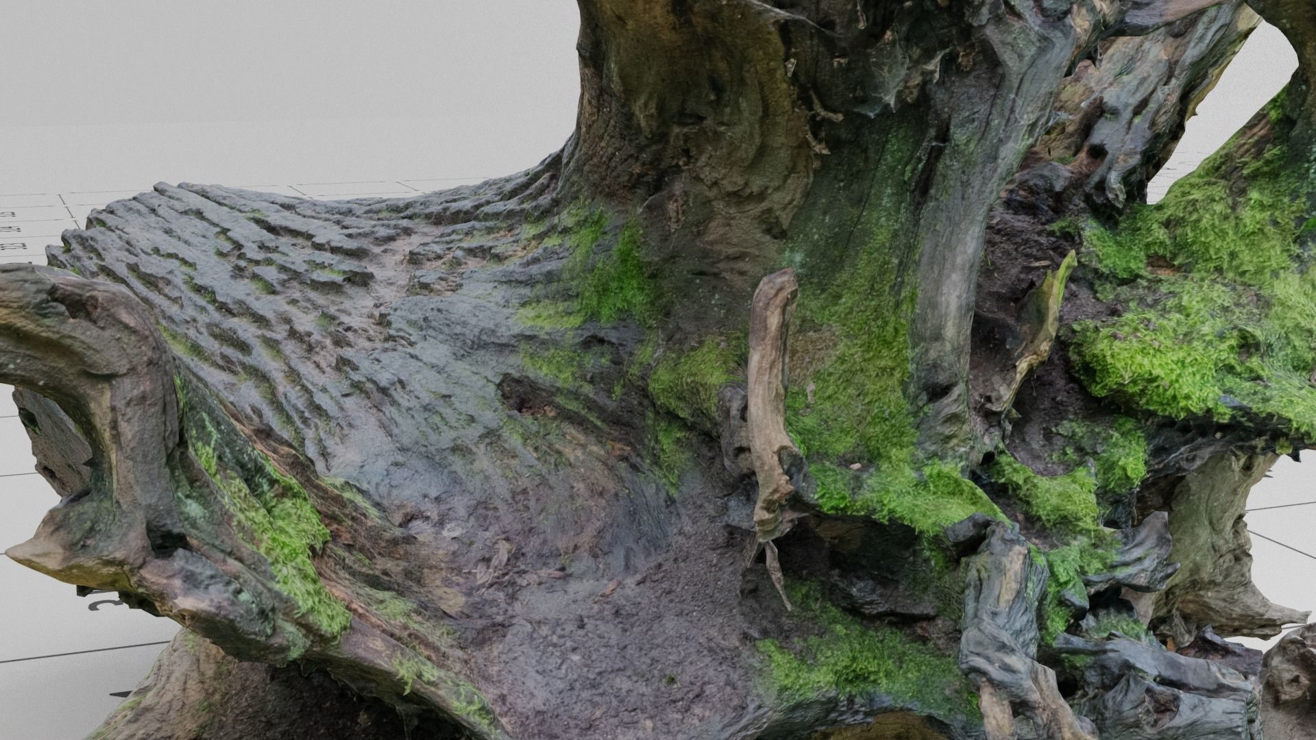 Old Rotten Fallen Tree 3D Scanned Low-poly 3D model_12