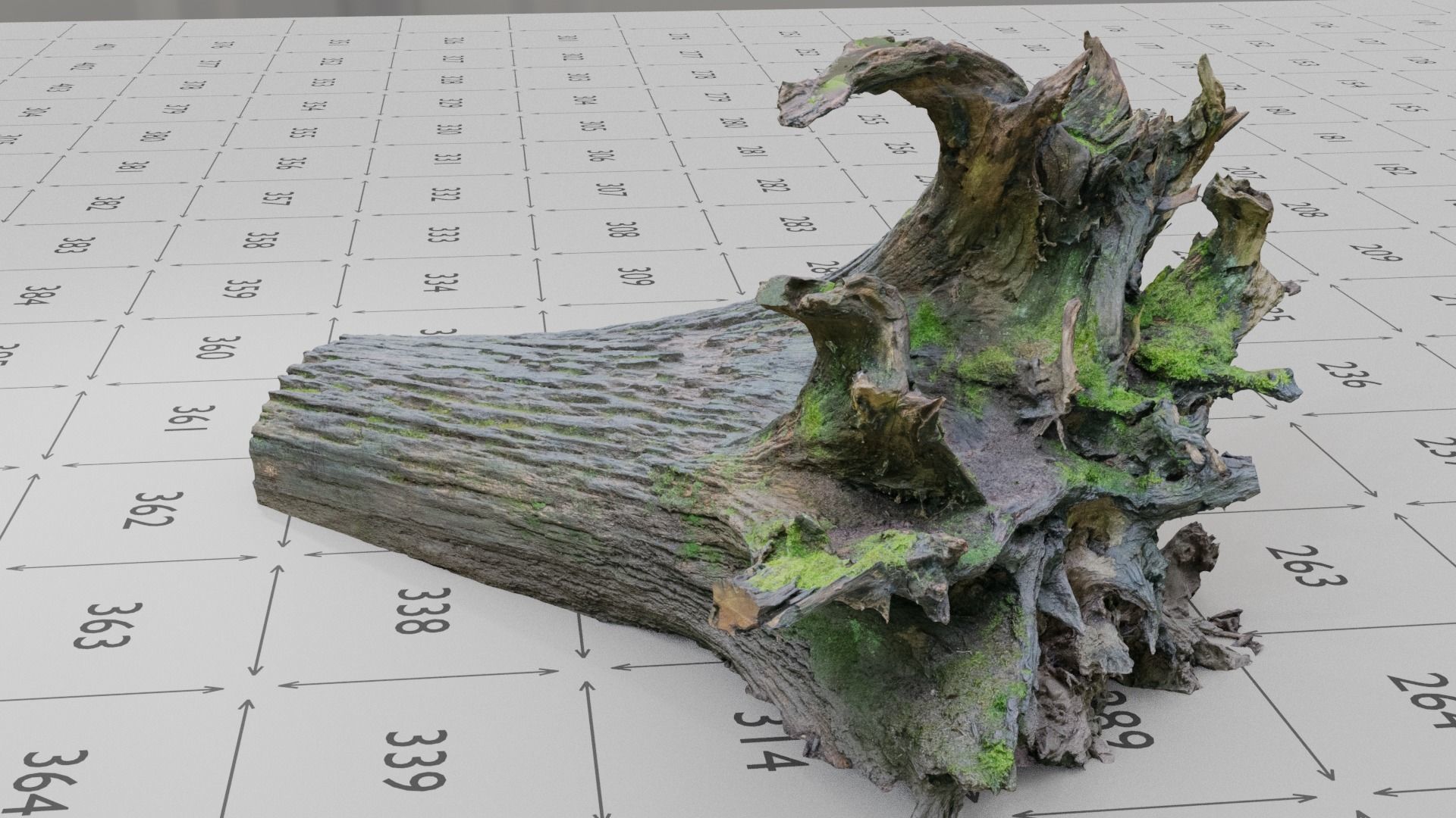 Old Rotten Fallen Tree 3D Scanned Low-poly 3D model_3