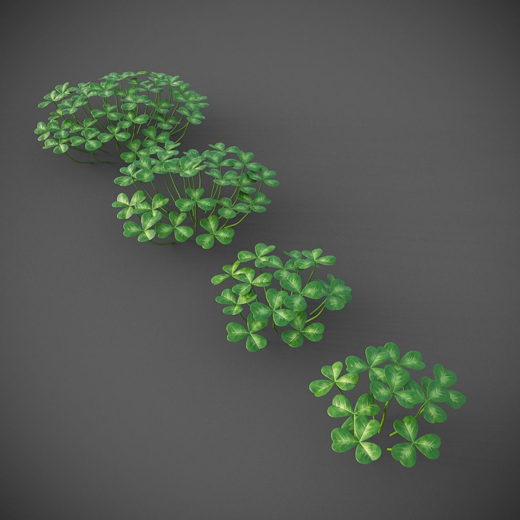 XfrogPlants Oregon Oxalis - Oxalis Oregana  3D model_0