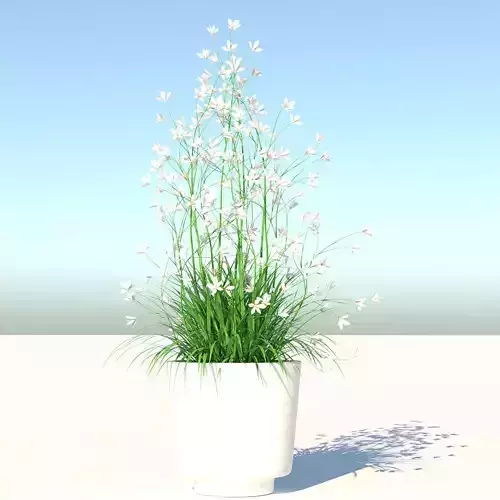 Flower plant in vase Low-poly 3D model