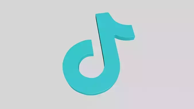 tik tok 3D print model