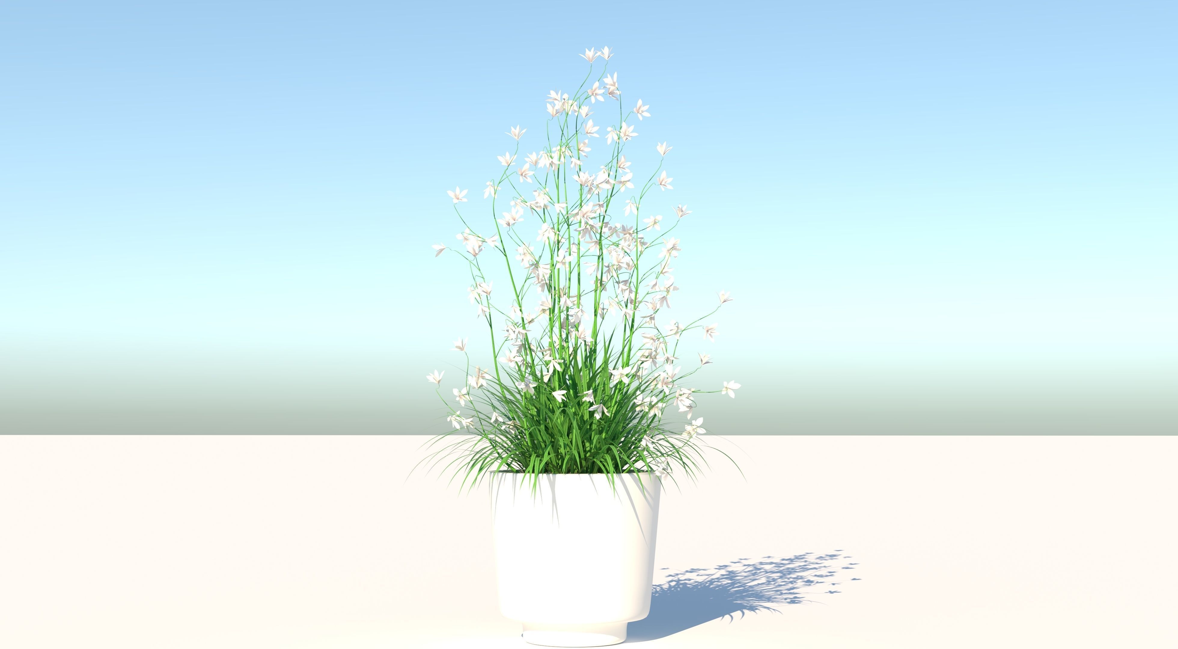 Flower and Pot Low-poly 3D model_1