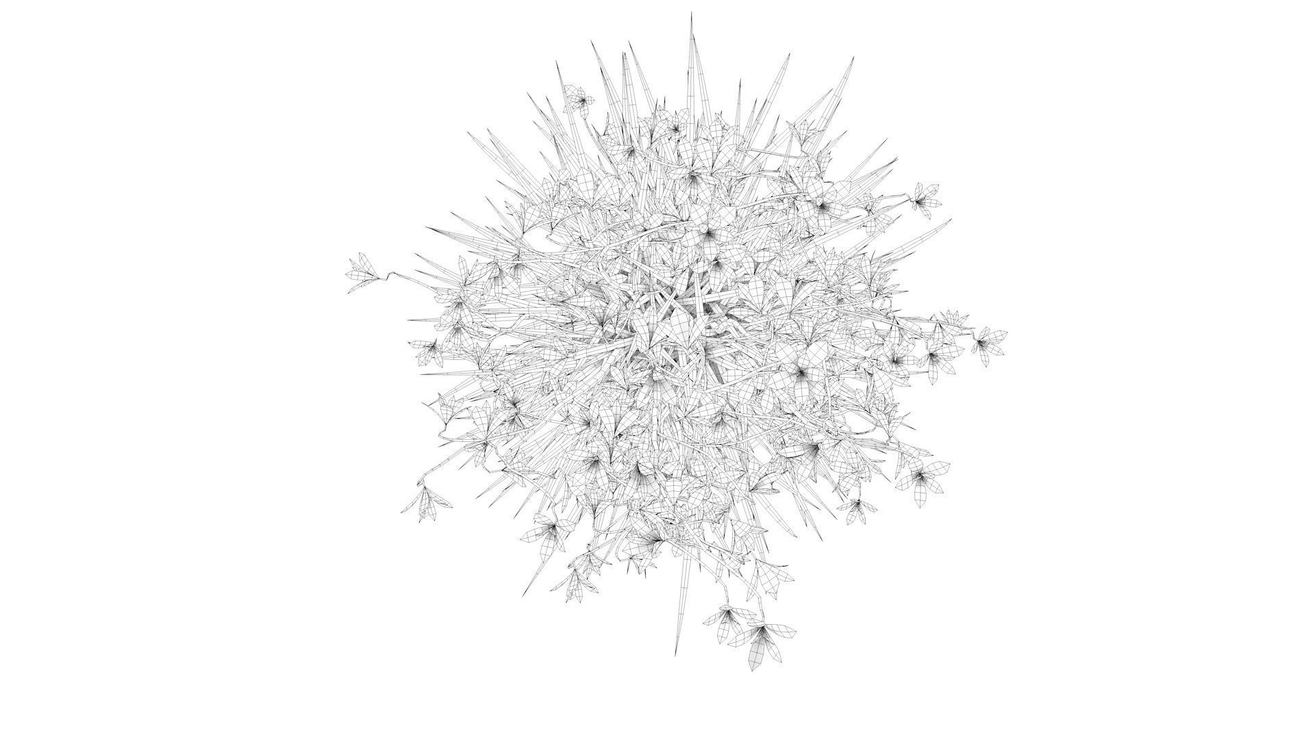 Flower and Pot Low-poly 3D model_11