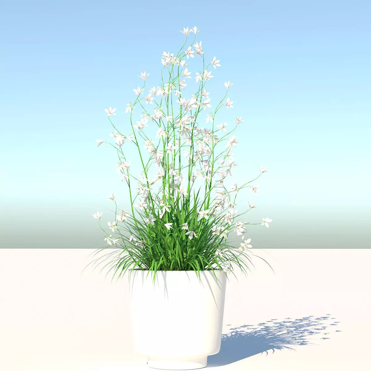Flower and Pot Low-poly 3D model_0