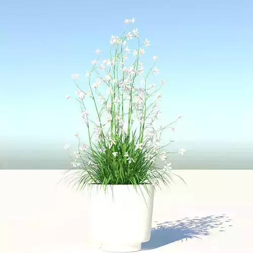 Flower and Pot Low-poly 3D model