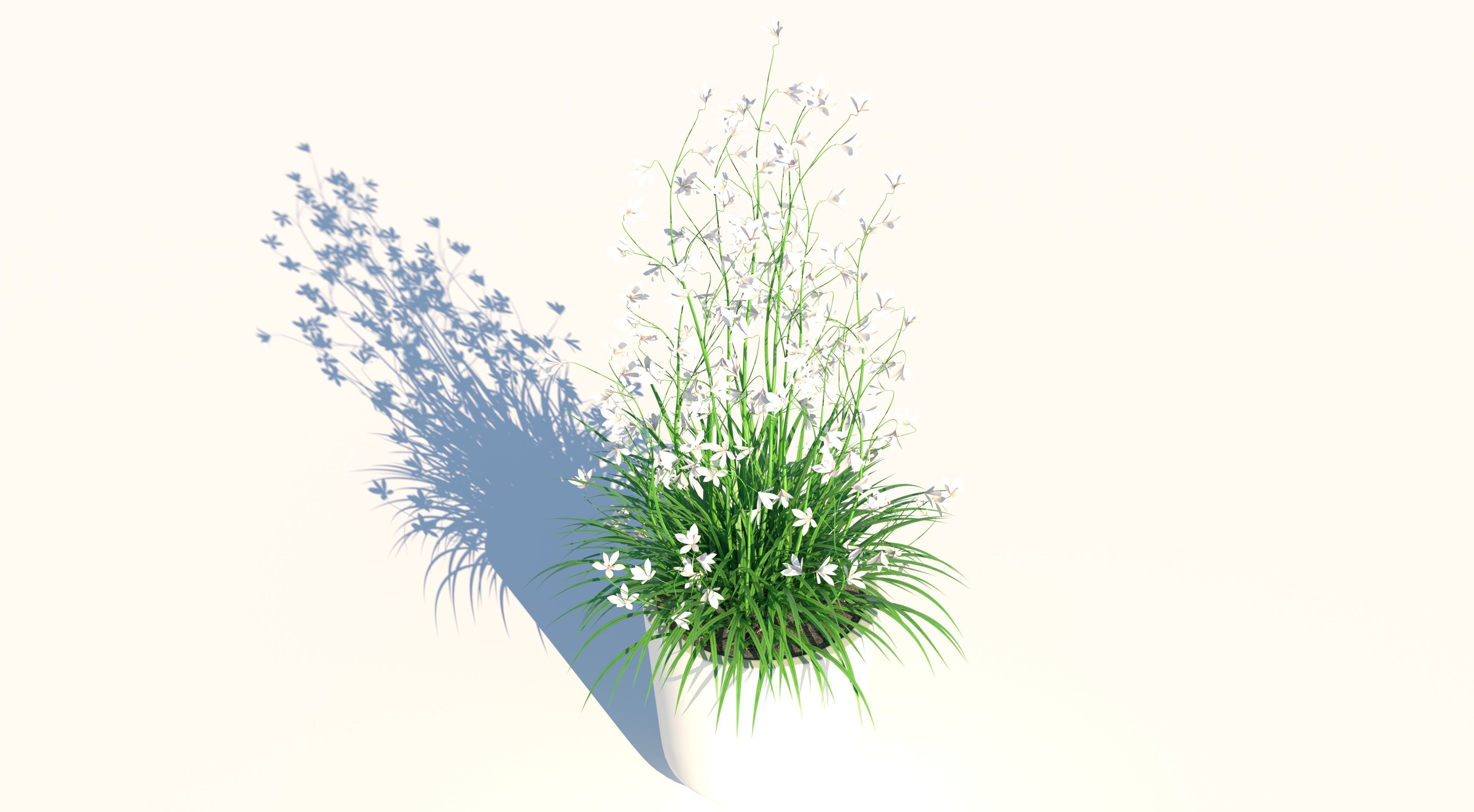 Flower and Pot Low-poly 3D model_3