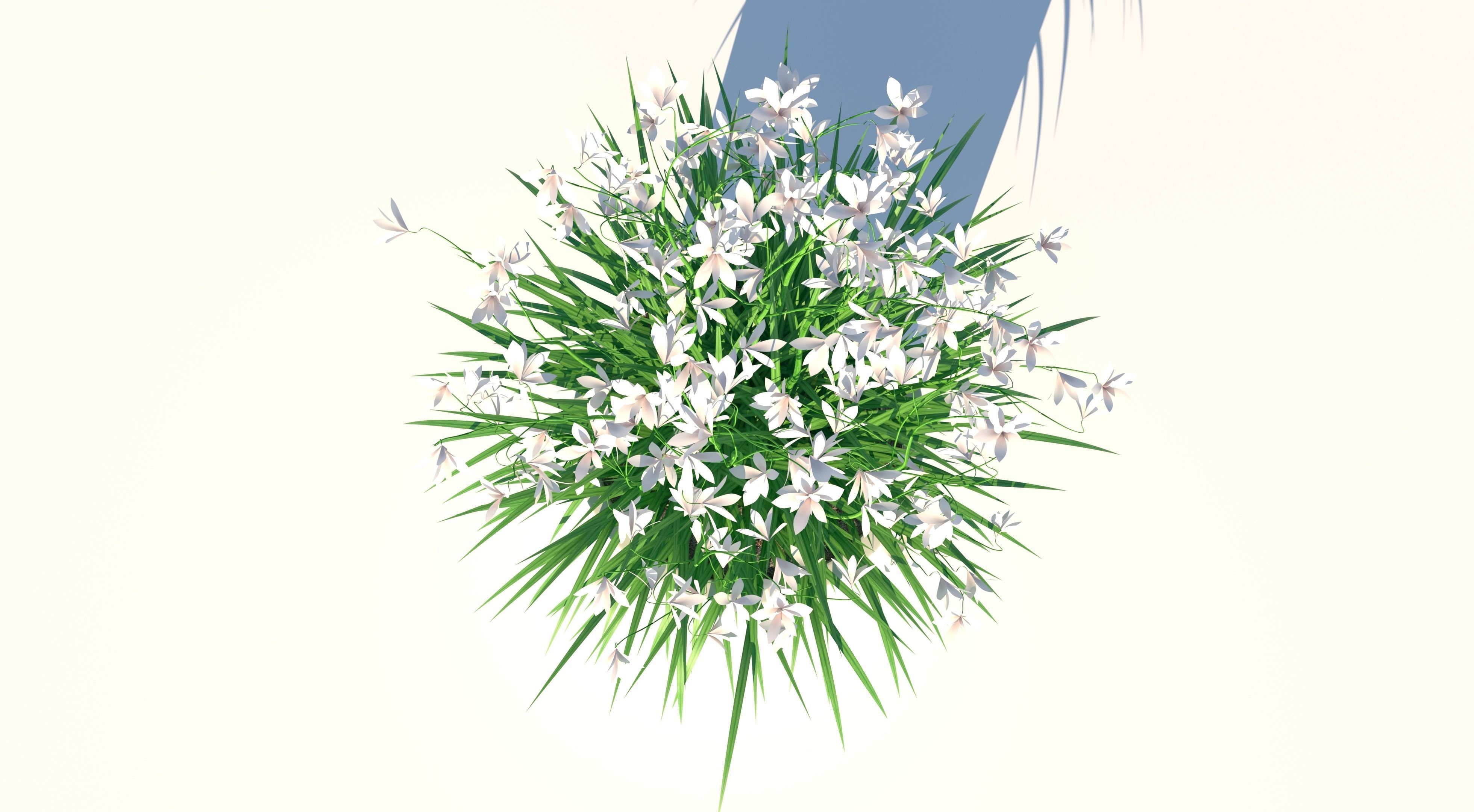 Flower and Pot Low-poly 3D model_4