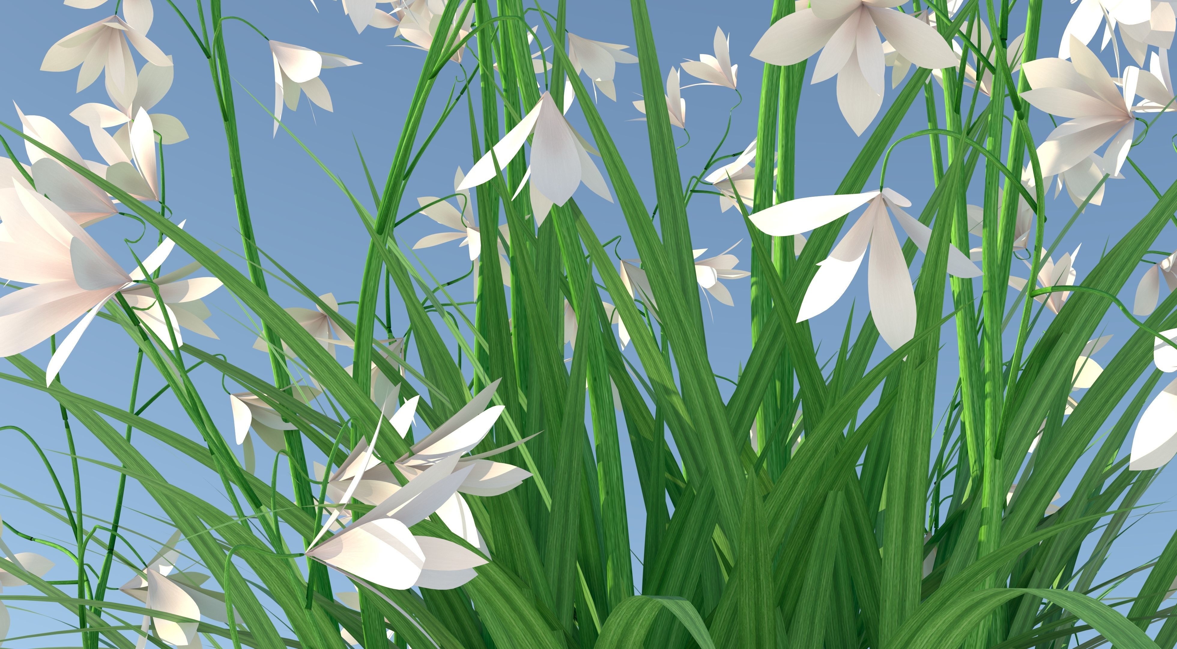 Flower and Pot Low-poly 3D model_7