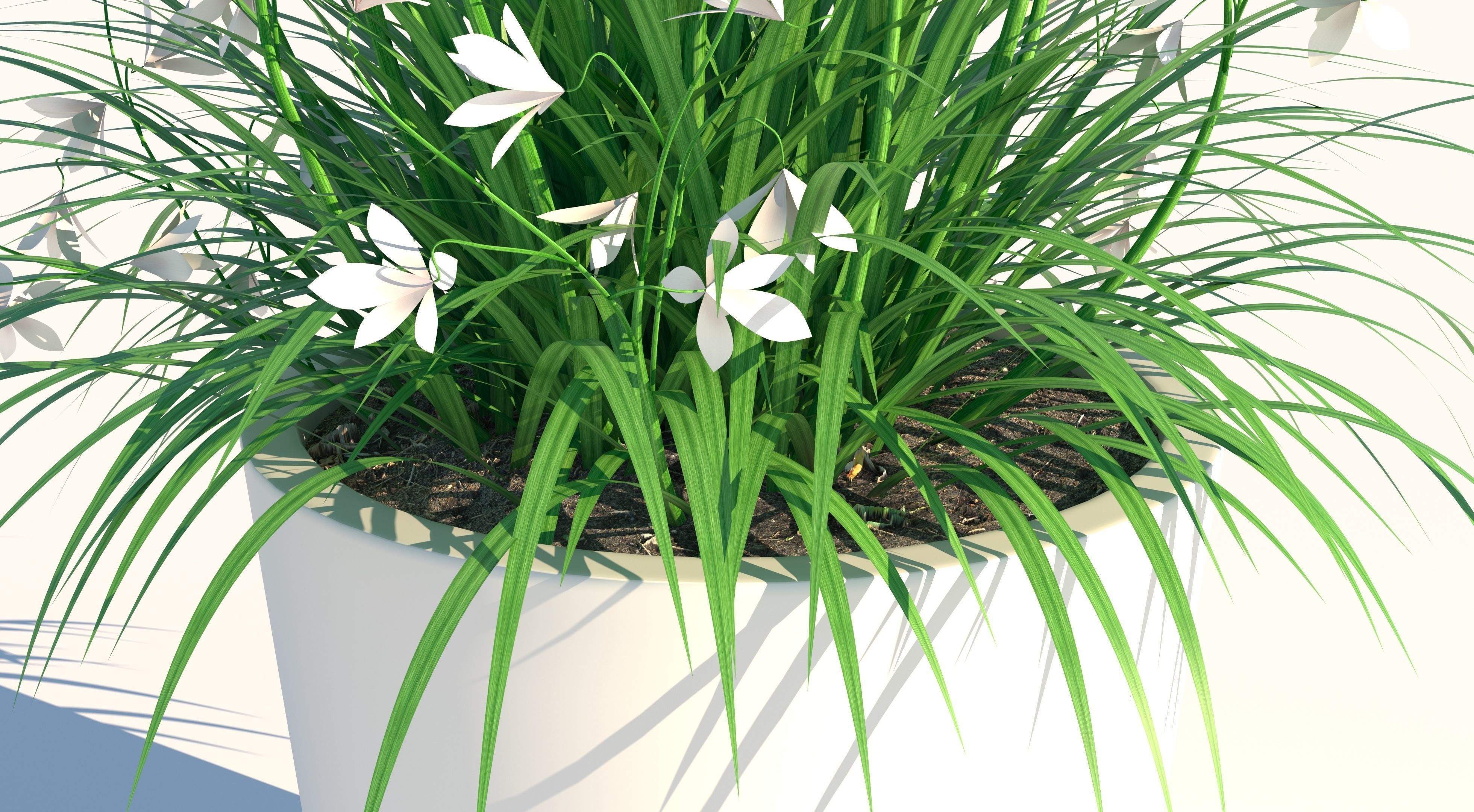 Flower and Pot Low-poly 3D model_5