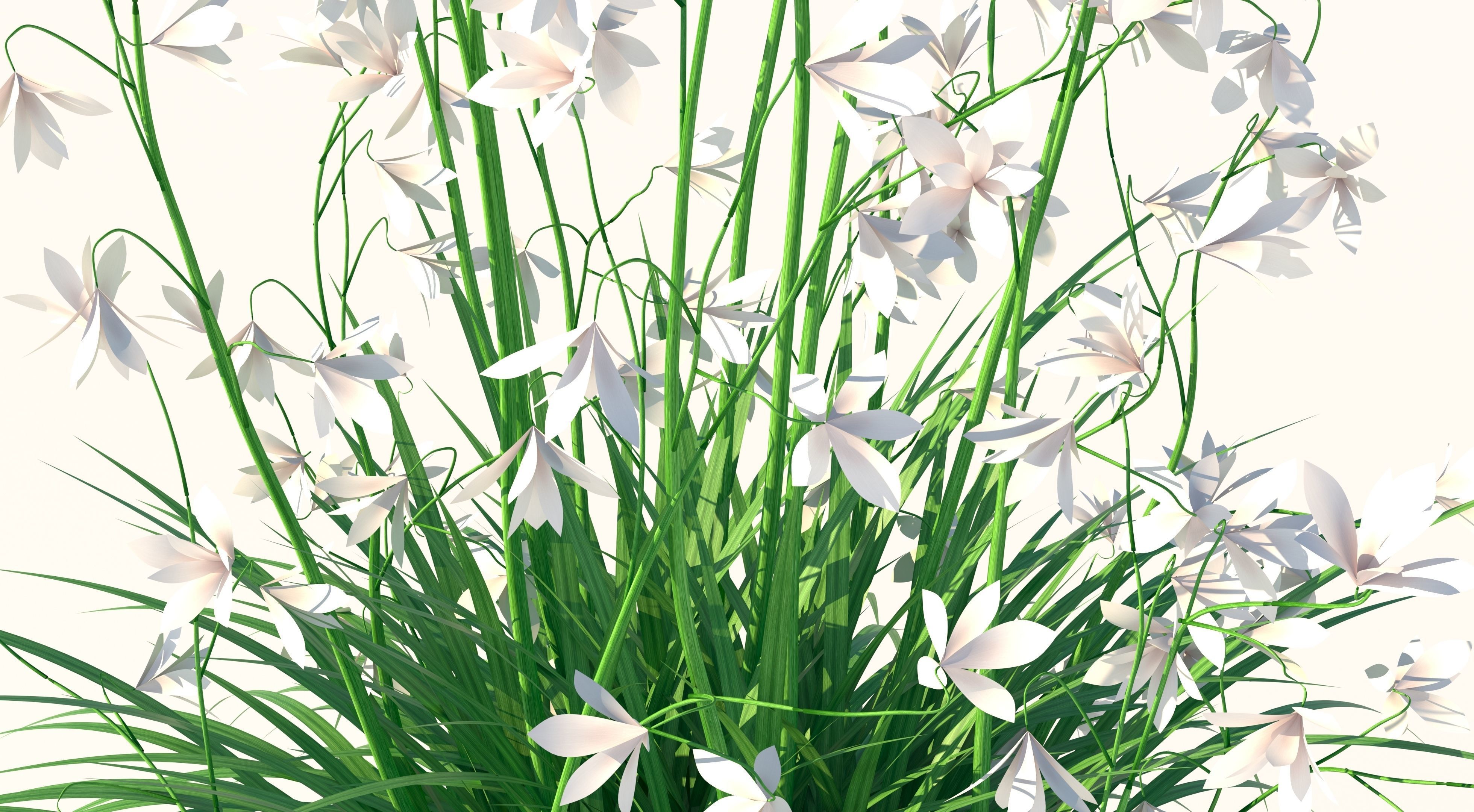 Flower and Pot Low-poly 3D model_6