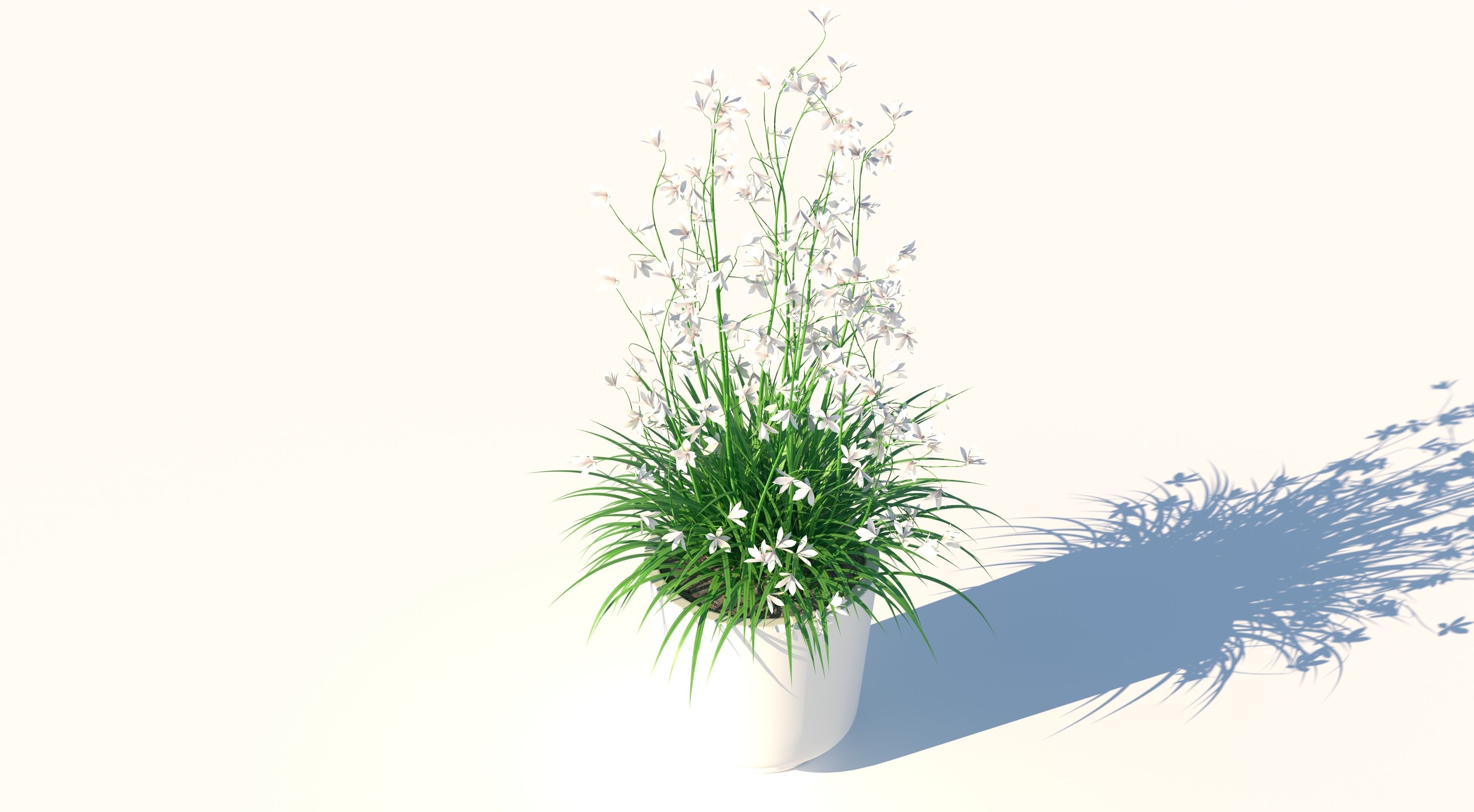 Flower and Pot Low-poly 3D model_2