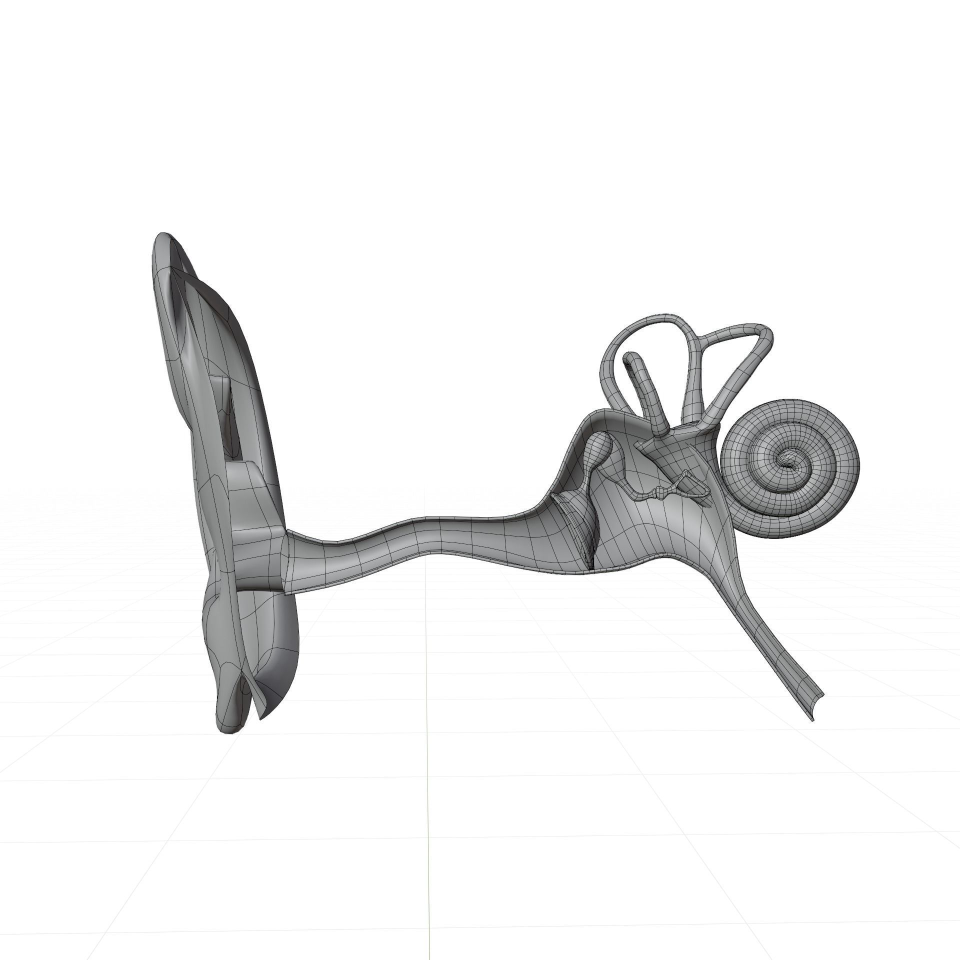 ear anatomy 3D model_7
