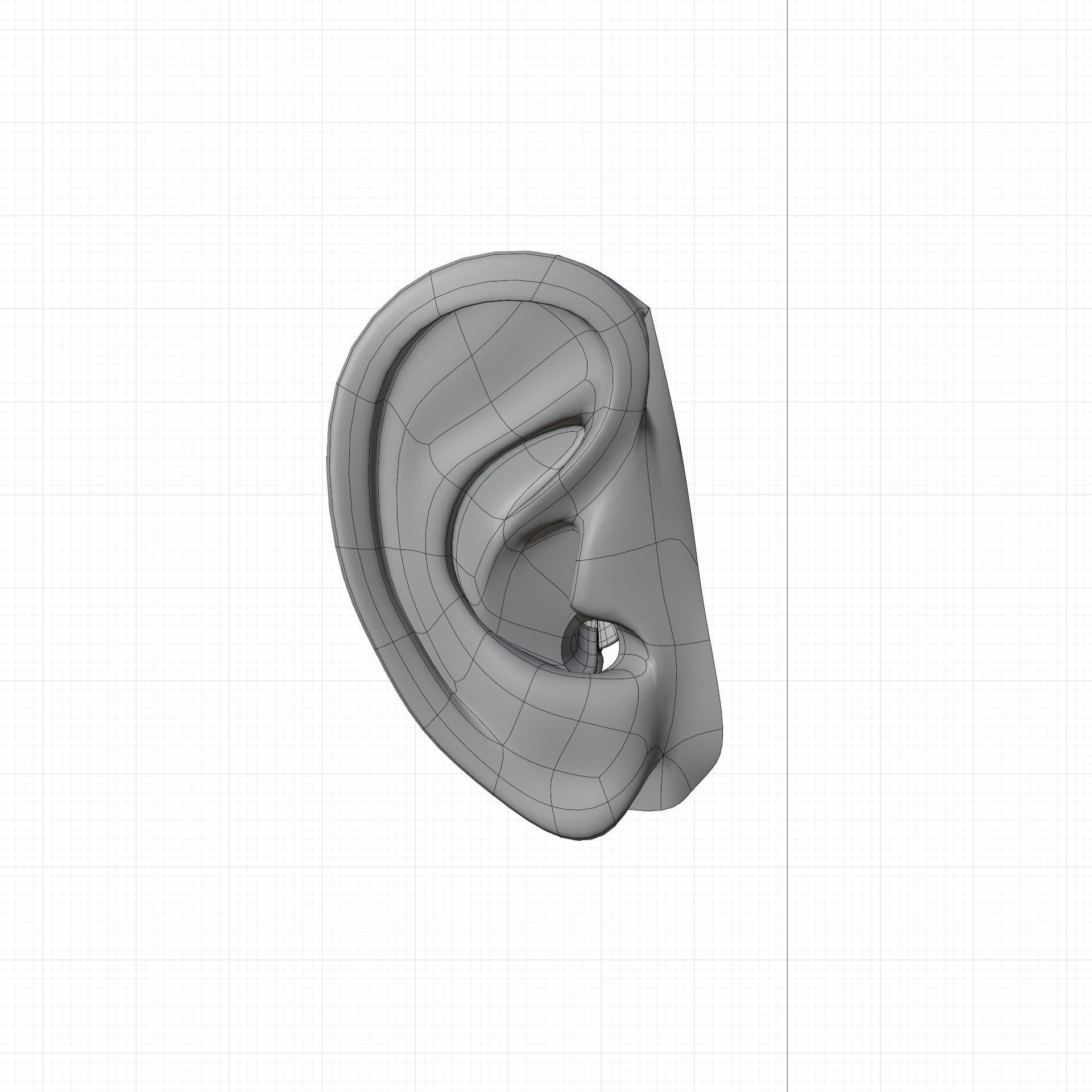 ear anatomy 3D model_10