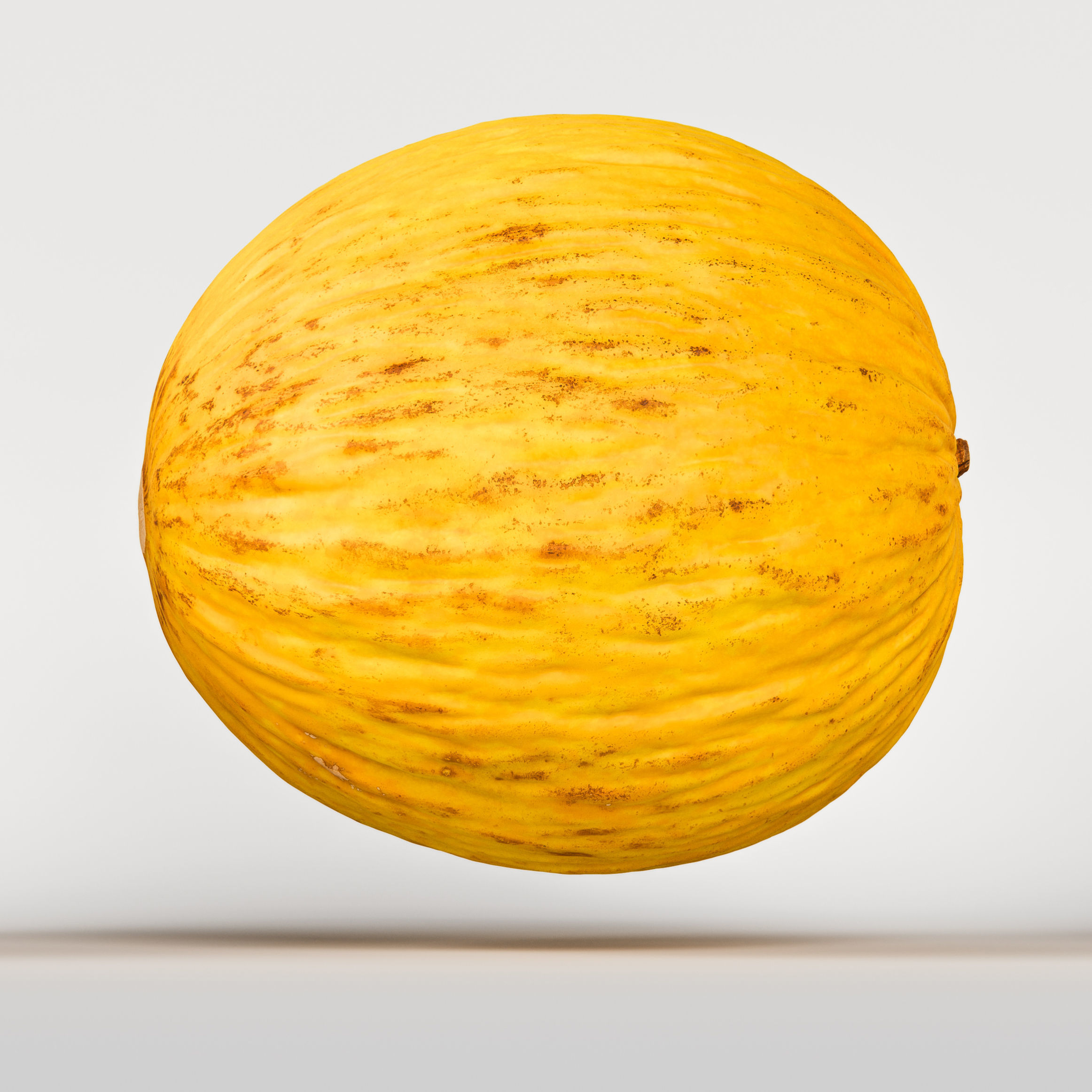 Melon 3D model_6